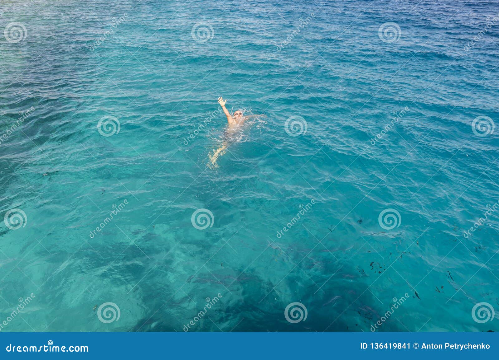 Смотрит коршунов в море тонет