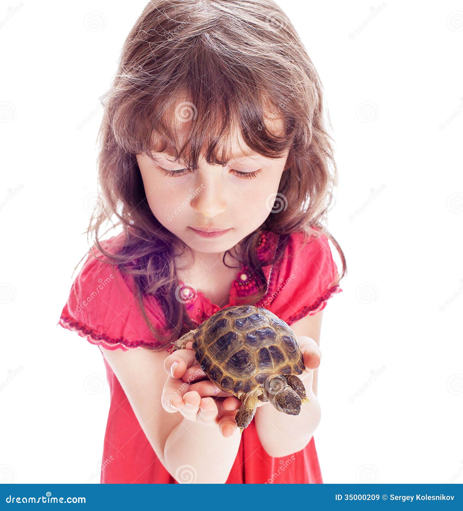 Алиса черепахи. Девочка черепашка. Черепашка девушка. Фотосессия с черепахой. Черепашка мальчик и девочка.