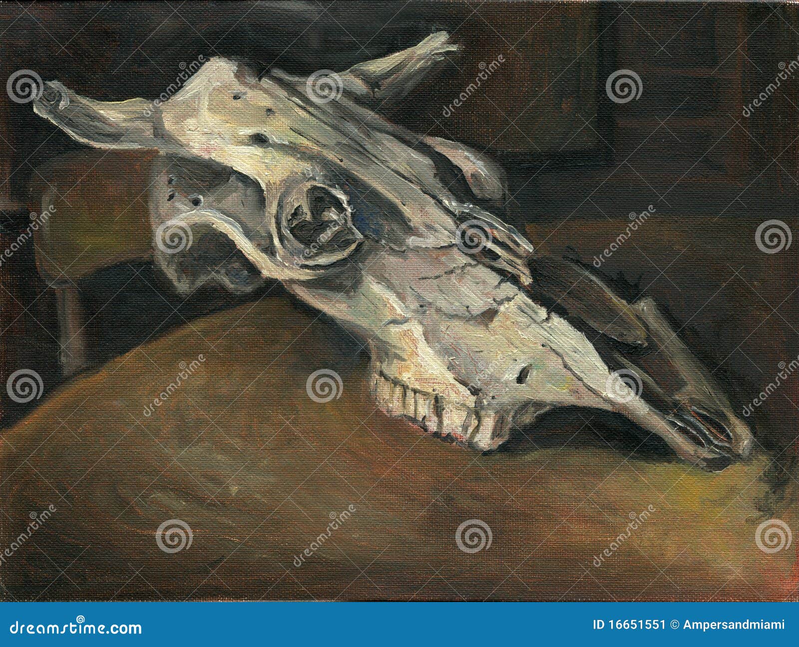 череп картины животного сала Иллюстрация штока - иллюстрации насчитывающей  череп, скелет: 16651551