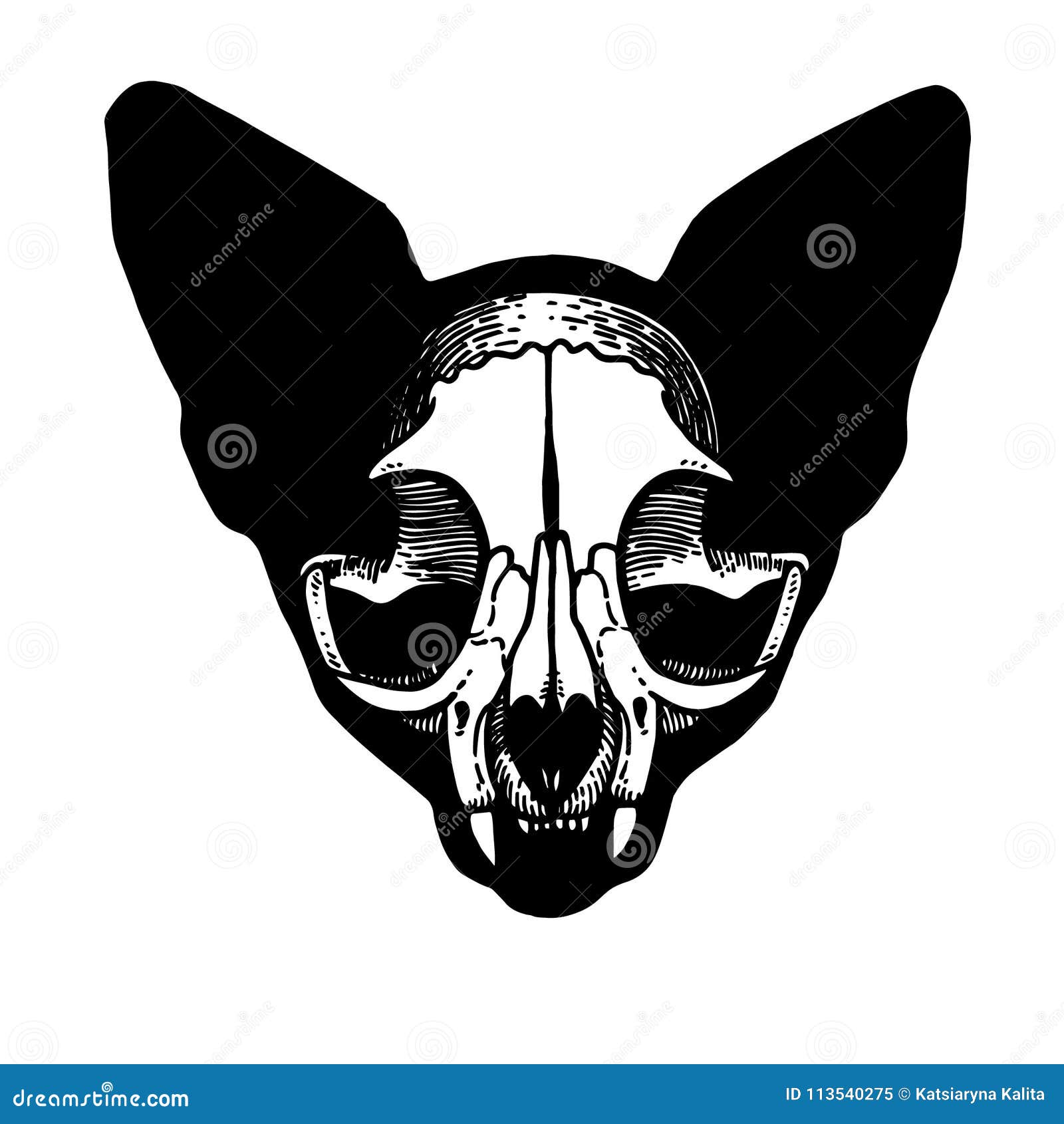 Кошачий череп