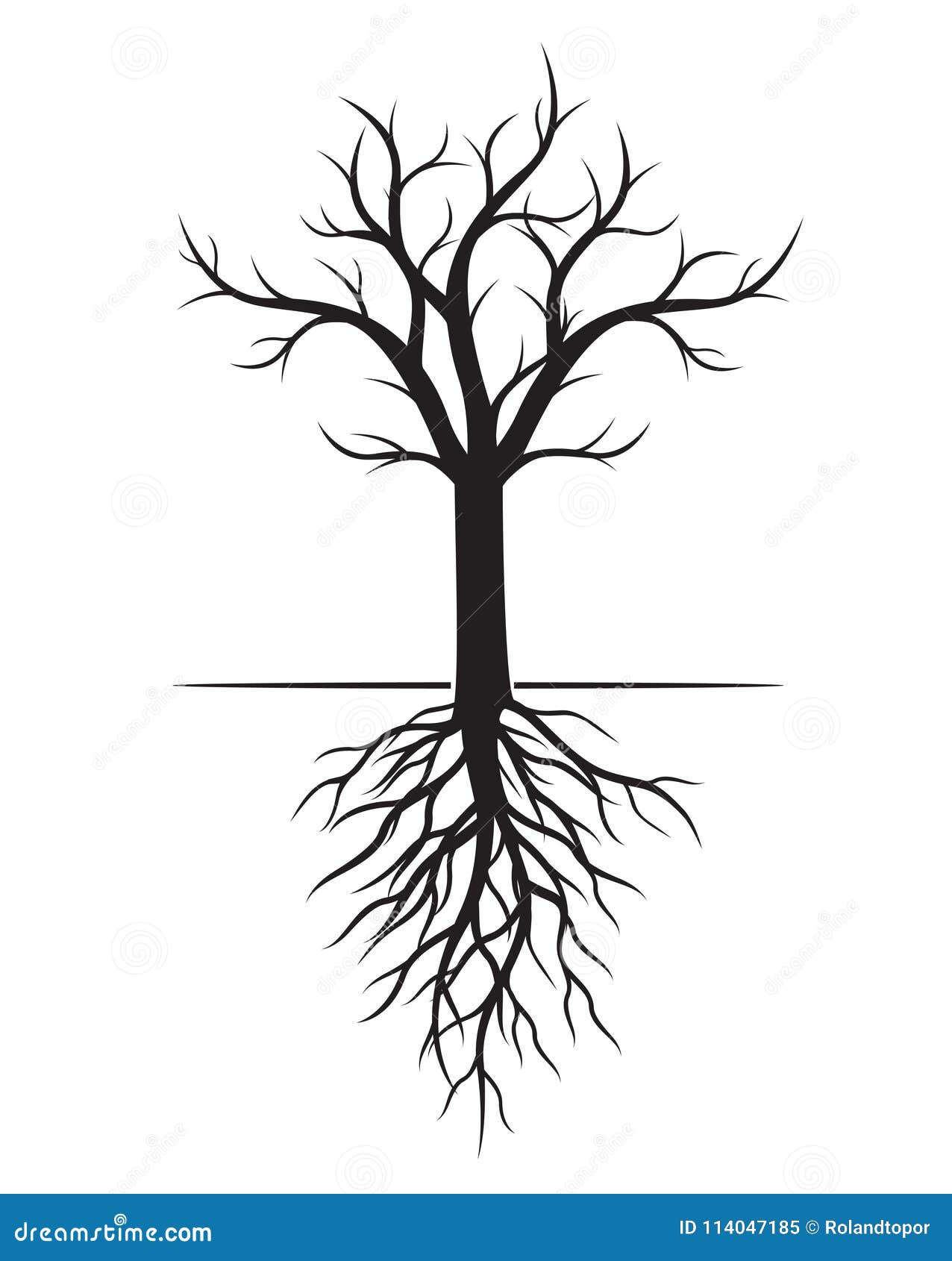 Root element. Дерево с корнями контур. Дерево с корнями вектор. Дерево с корнями вектор чб. Корни древнего дерева вектор.