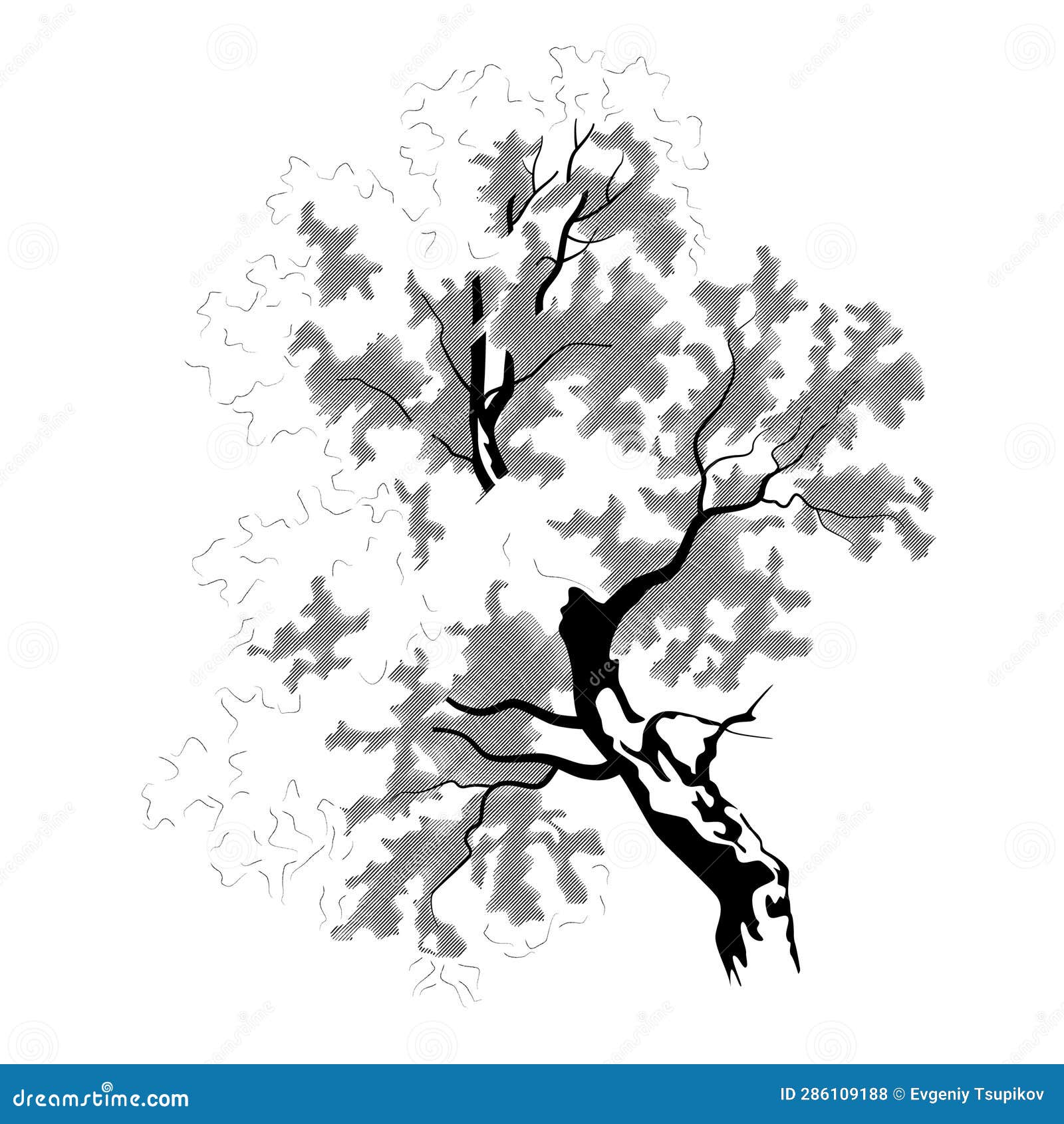 Рисунок дерево черно белое