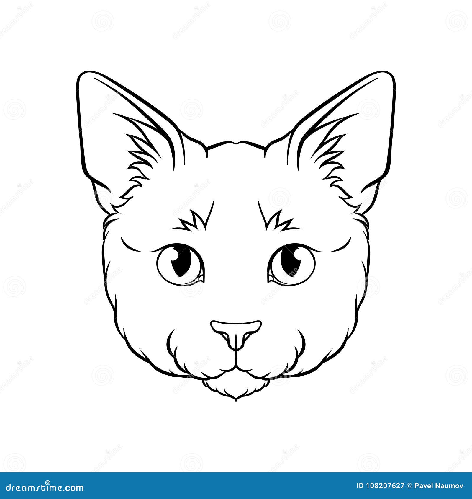 Мордочки кошек шаблон