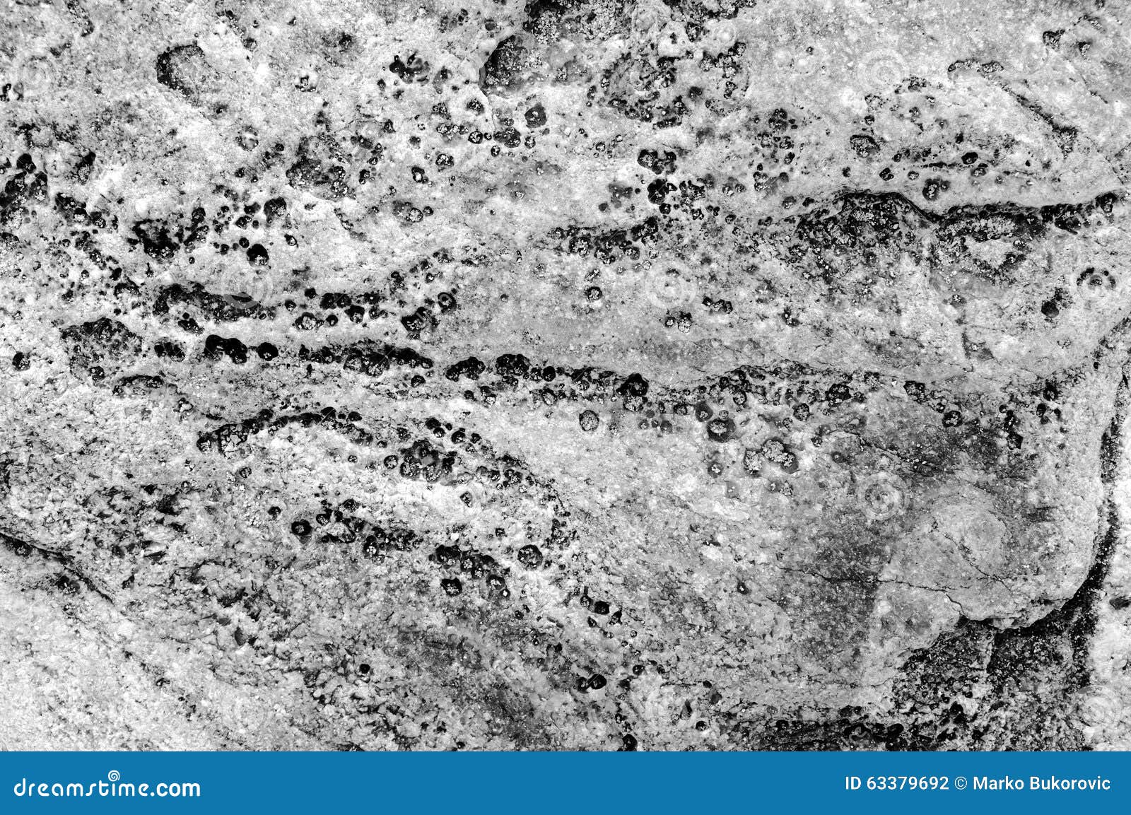 Черно-белая близкая красочная текстура текстуры камня моря Стоковое Фото -  изображение насчитывающей губка, цветасто: 63379692
