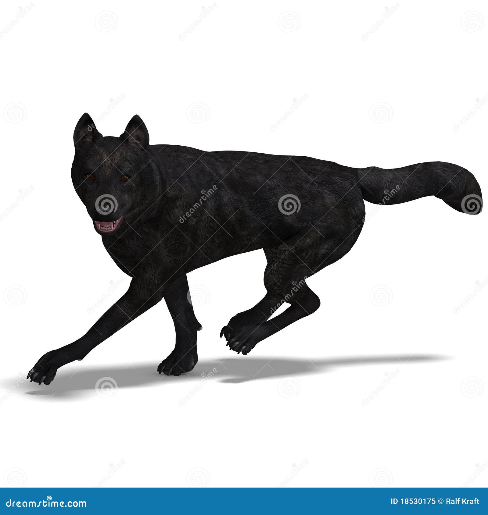 черный волк иллюстрация штока. иллюстрации насчитывающей спринт - 18530175