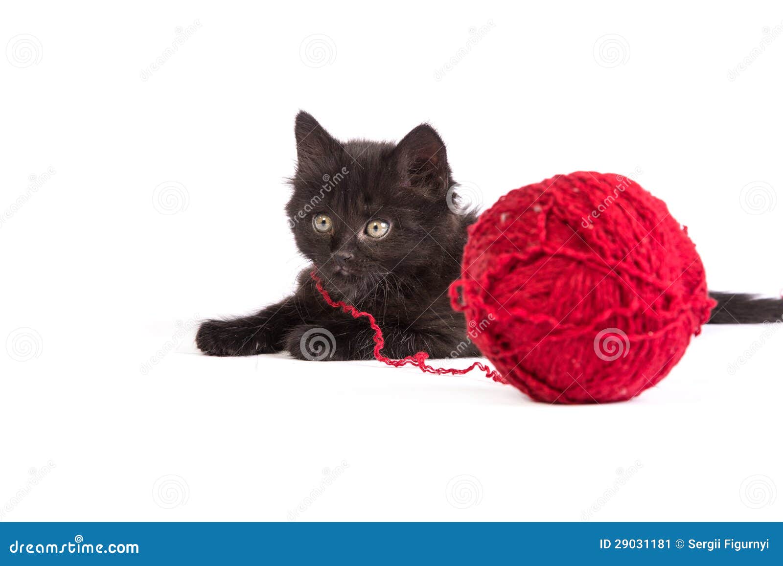 Котенок с клубком