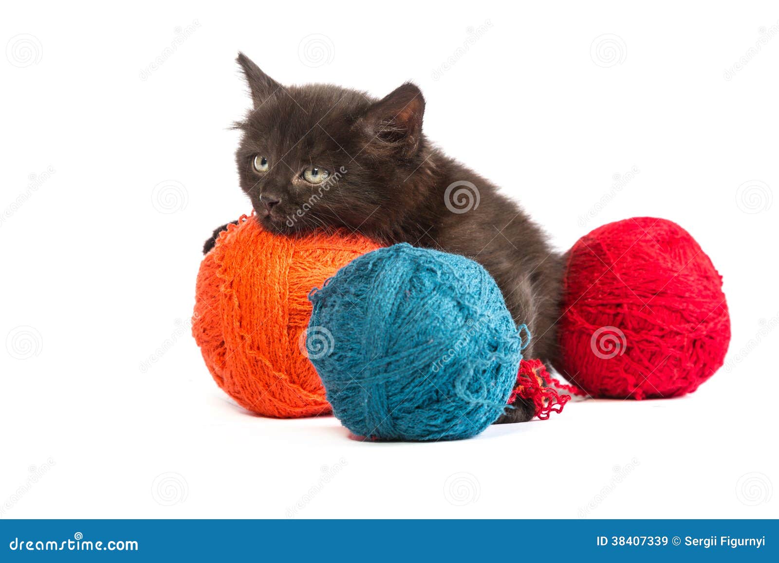 Котенок с клубком