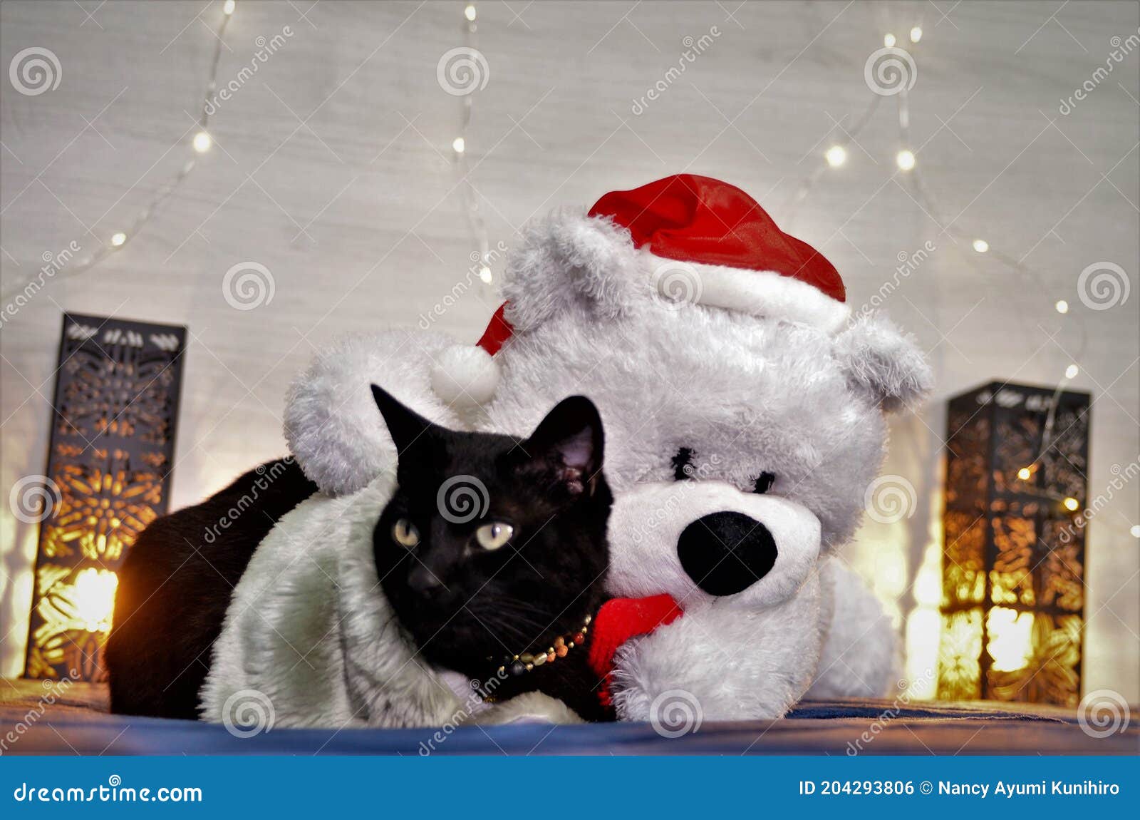 Черный кот обнимает Bobtail рождественские белого медведя Стоковое Фото -  изображение насчитывающей кот, кошачий: 204293806