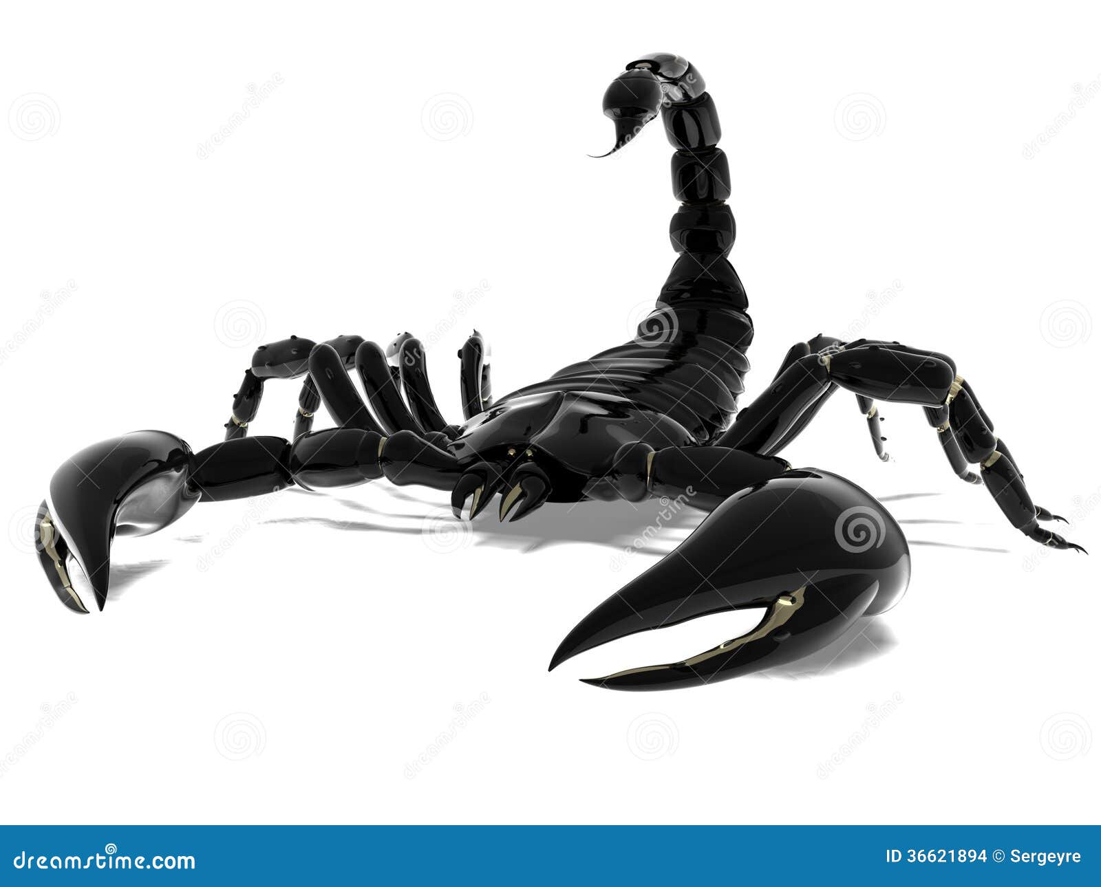Красивый скорпион