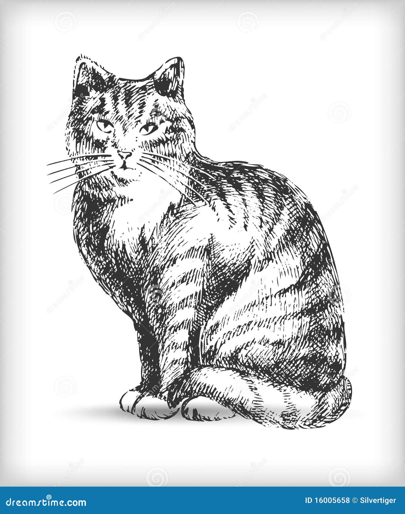 чертеж кота иллюстрация вектора. иллюстрации насчитывающей высоко - 16005658