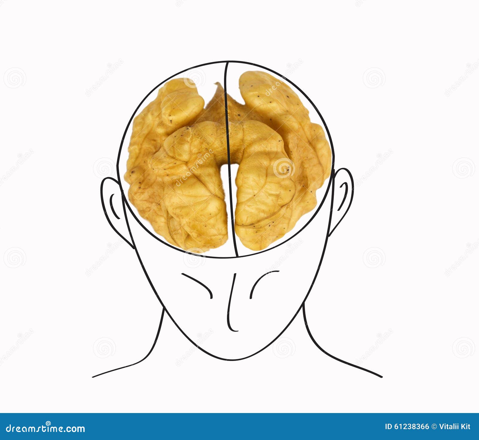 Грецкие орехи похожи на мозги. Грецкий орех и мозг. Орешек вместо мозга. Грецкий орех и мозг человека. Грецкий орех вместо мозга.
