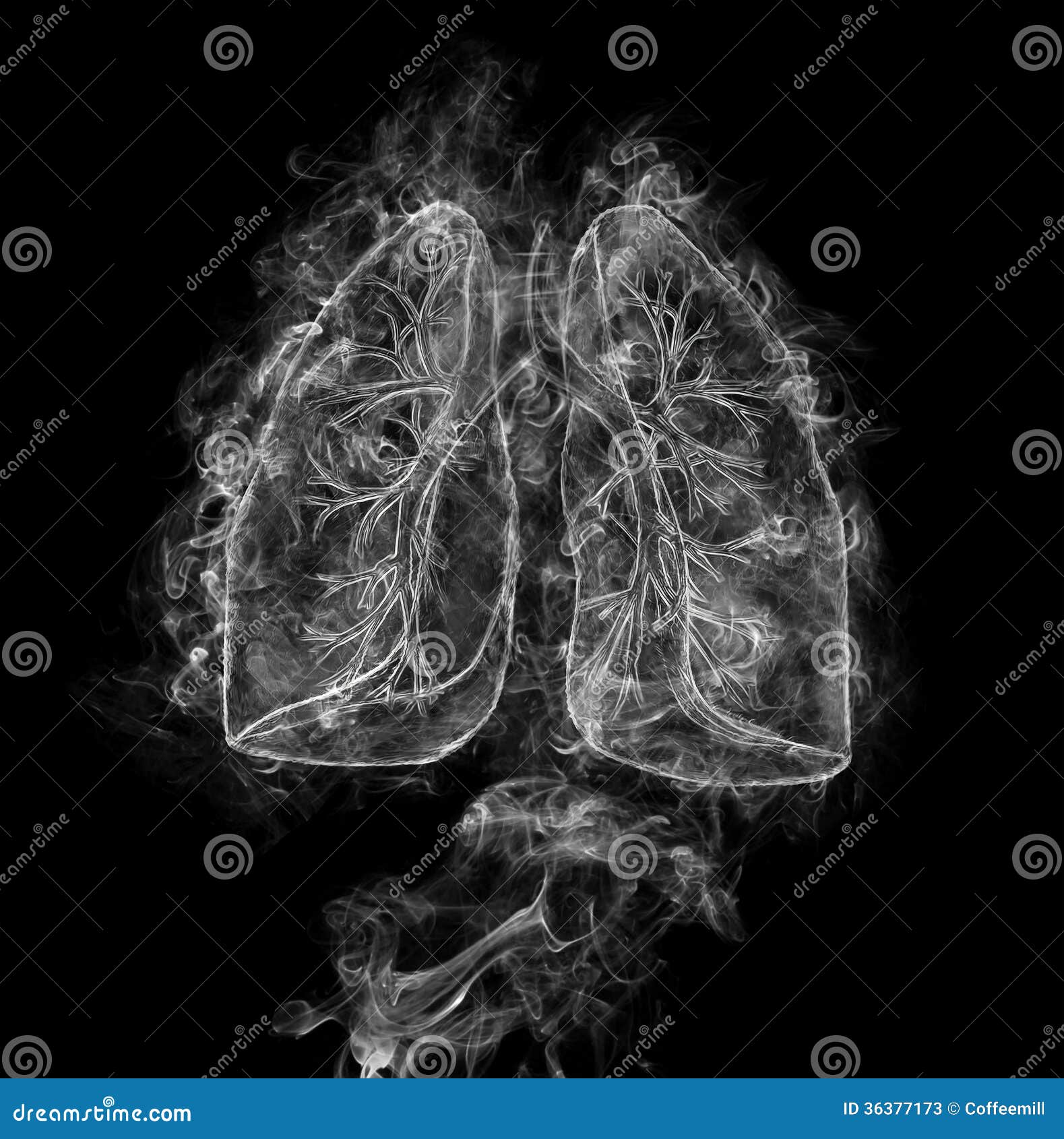 Легкие на черном фоне. Lungs на черном фоне.