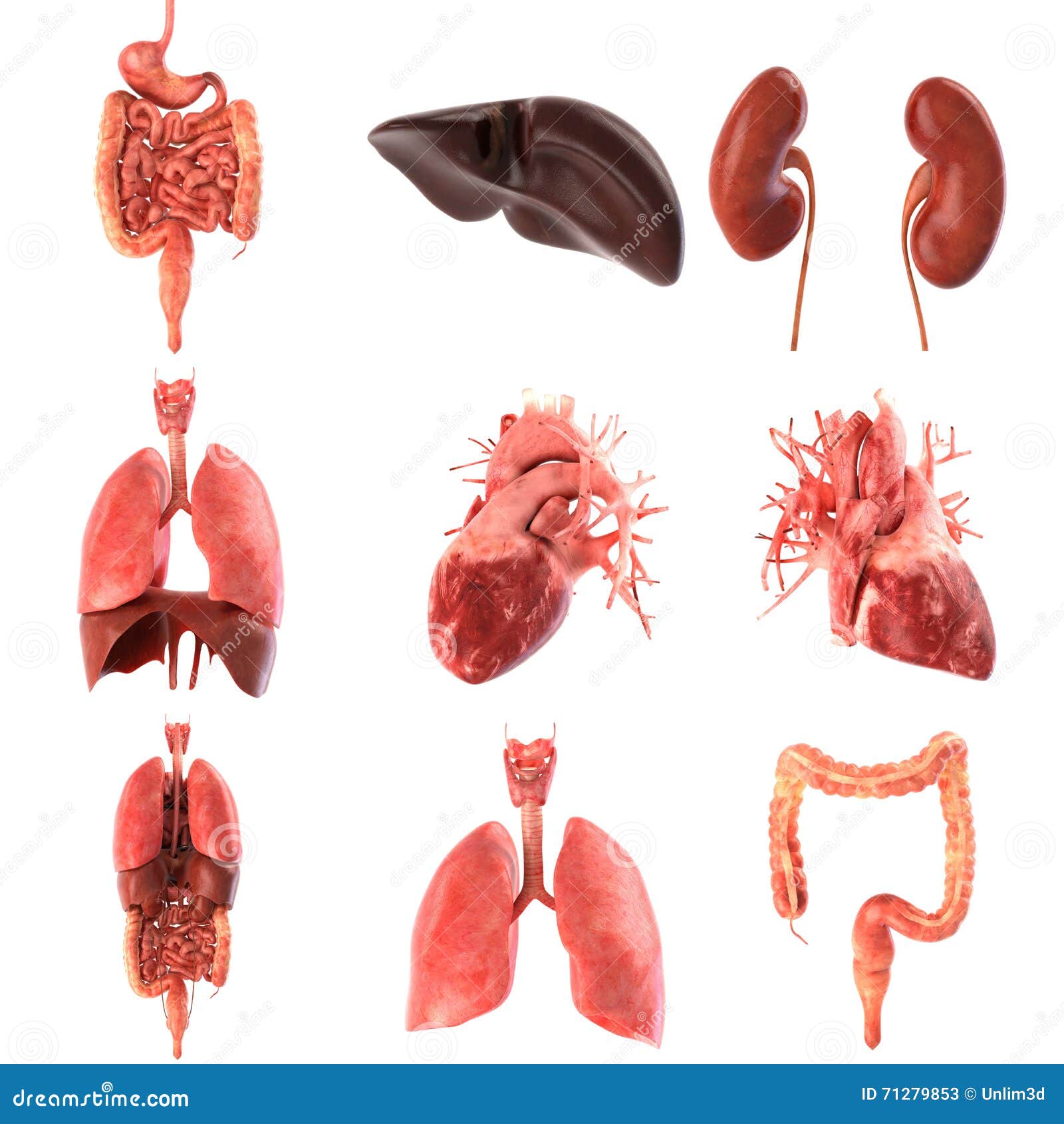 Перевод По Фото Точный Без Скачивания