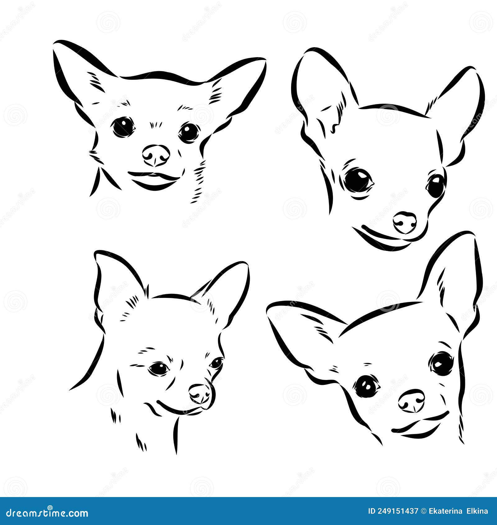 чихуахуа. наклейка на стене. графический черно-белый портрет собаки чихуауа  на белом фоне. цифровые Иллюстрация вектора - иллюстрации насчитывающей  смешно, млекопитающее: 249151437