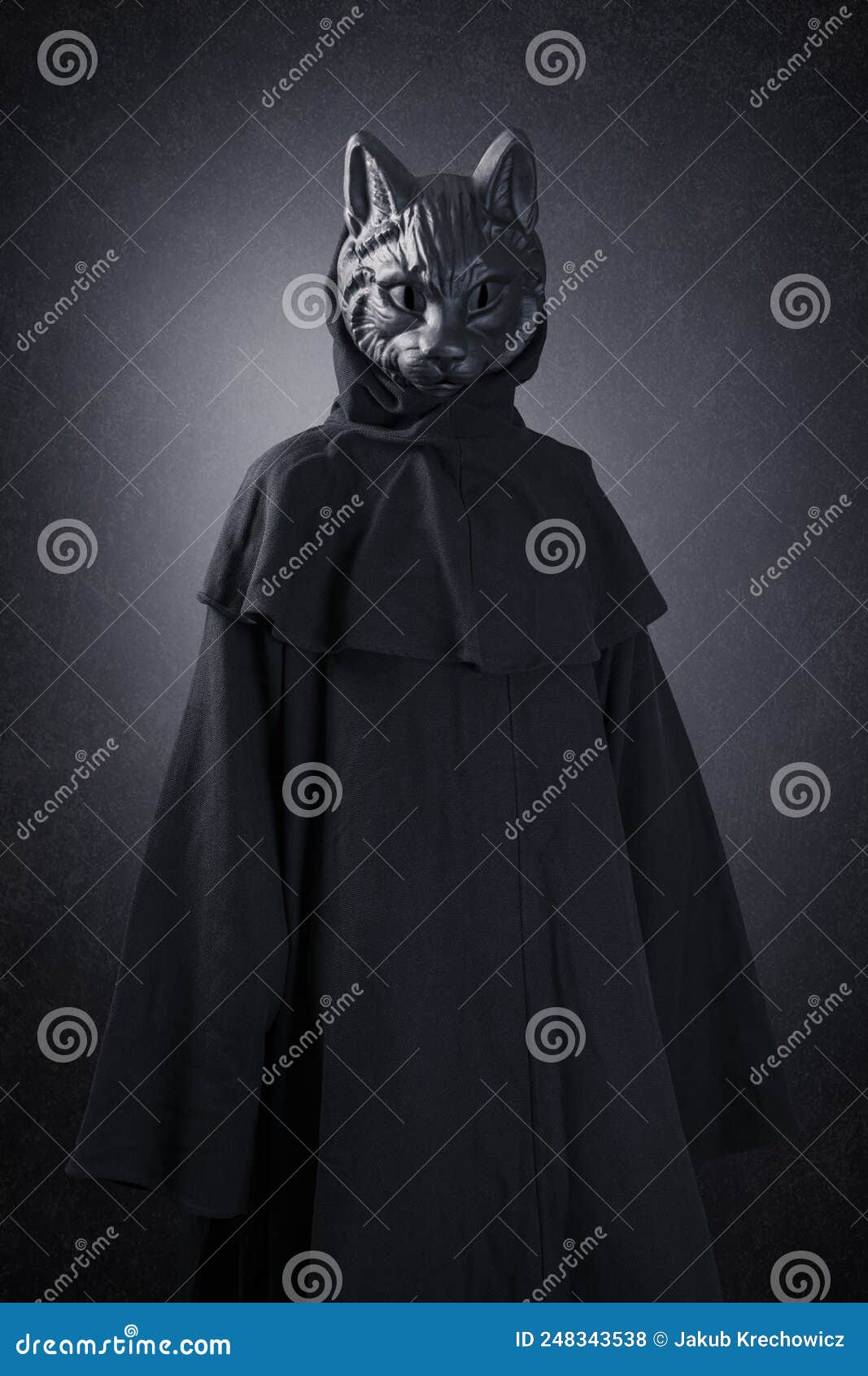 Кот в капюшоне