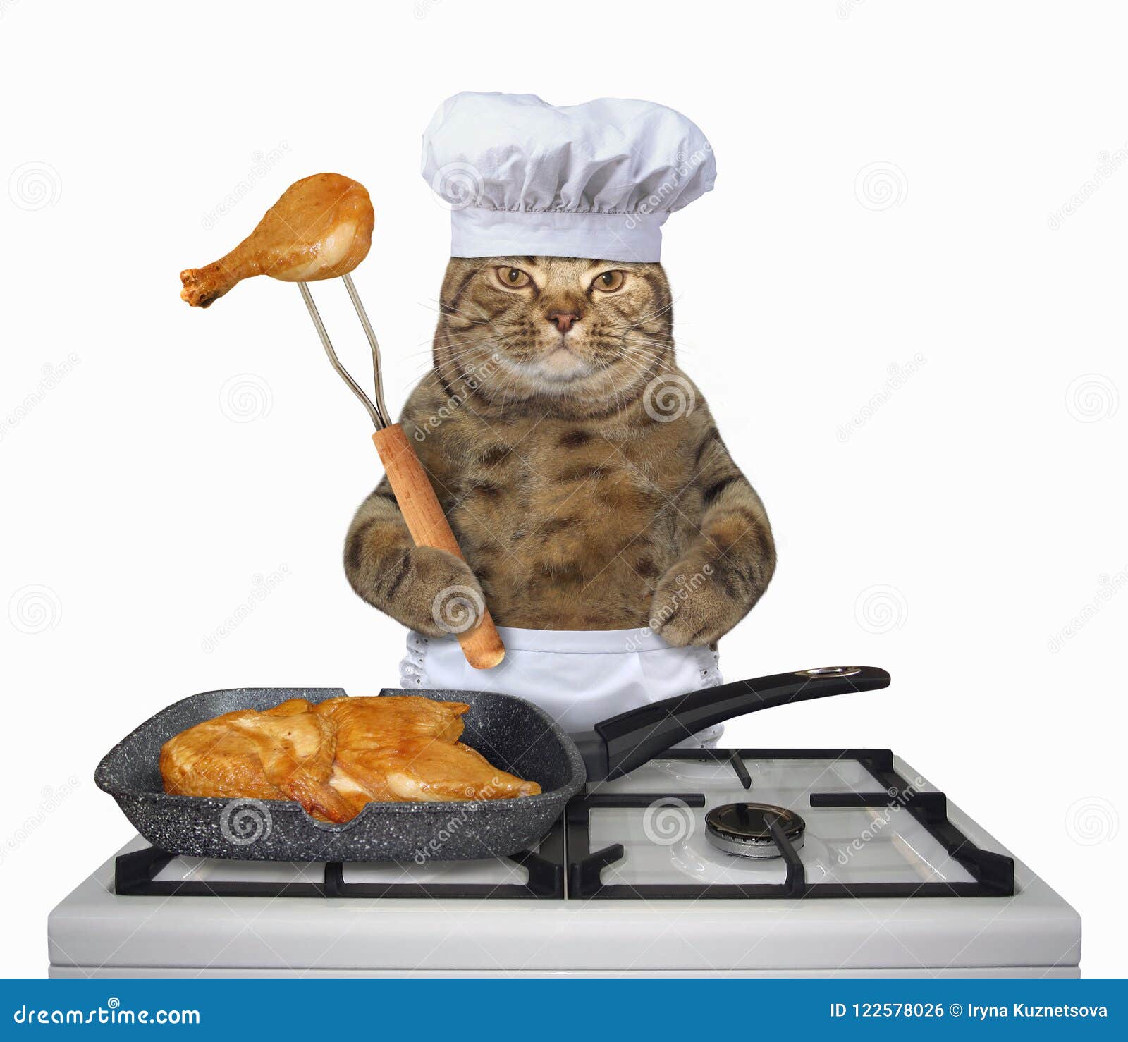 Кот повар картинки