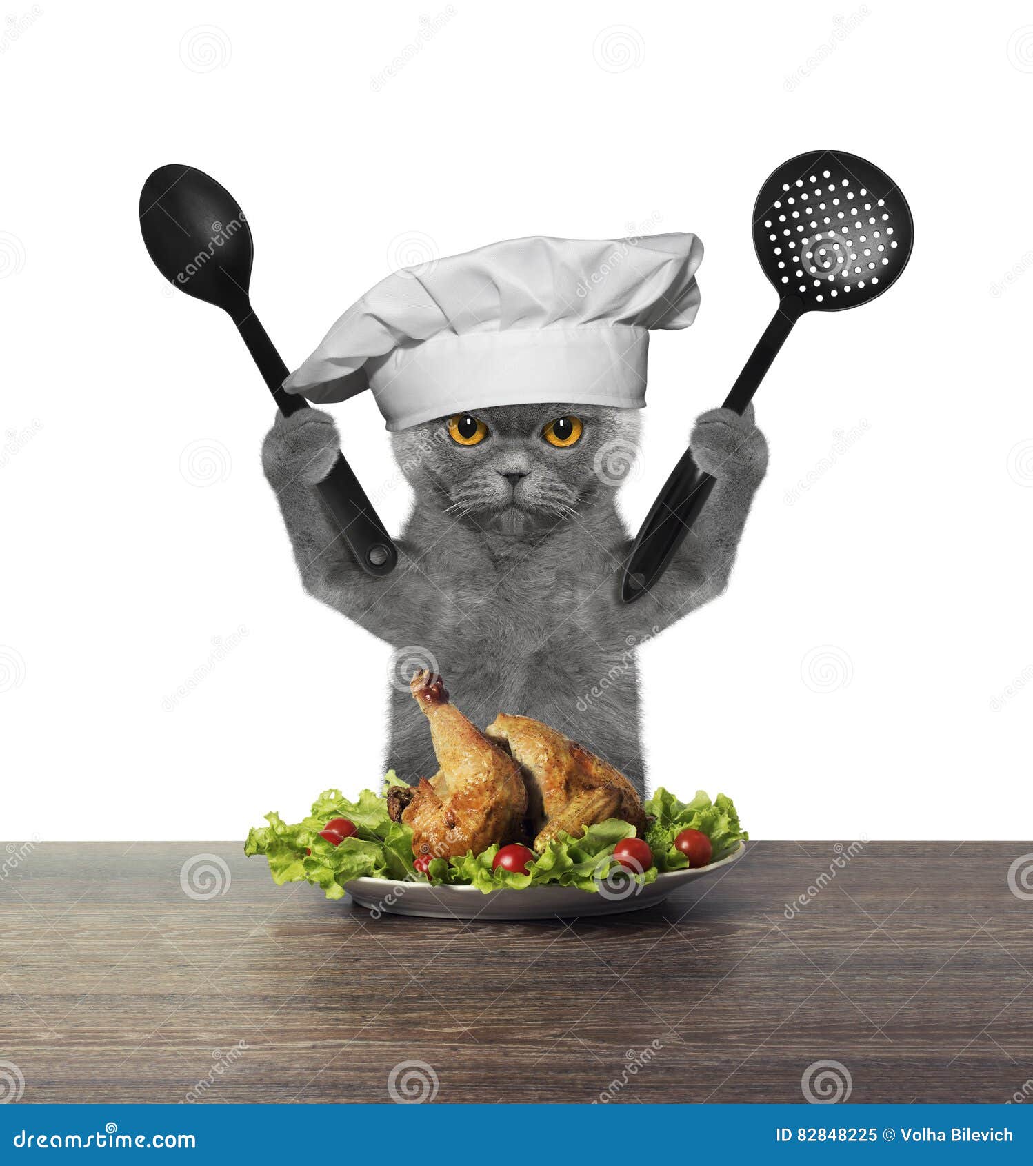 Котенок повар