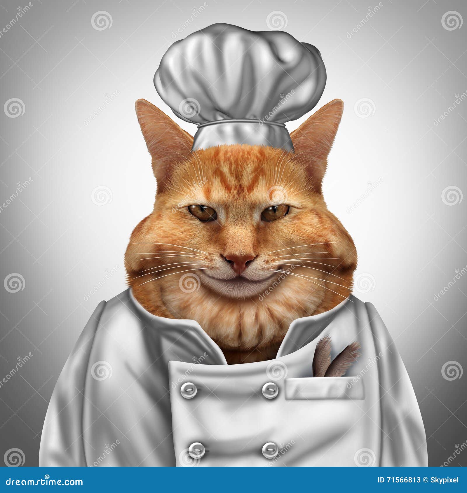 Кот в поварском колпаке