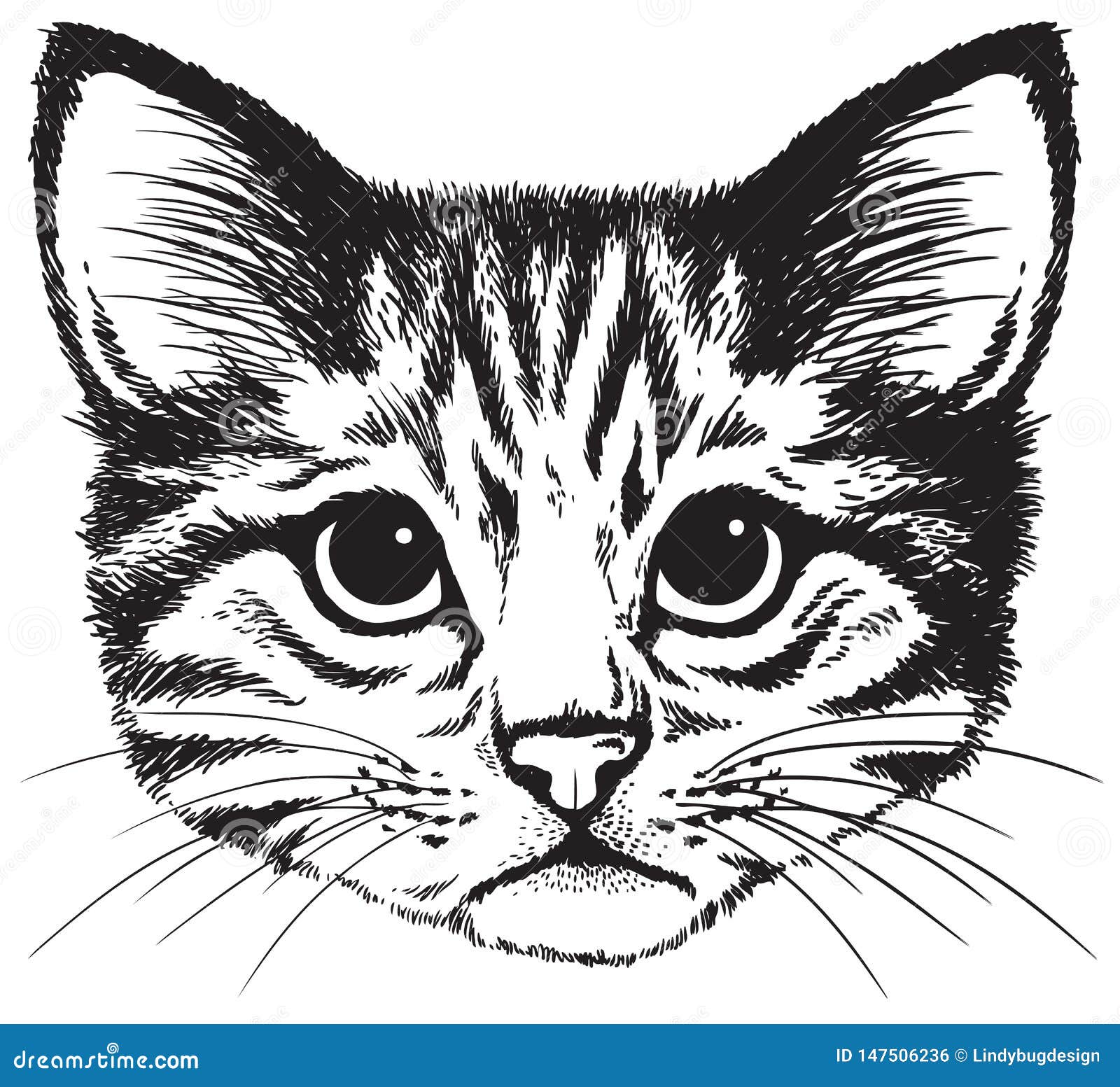 Картинка головы кота