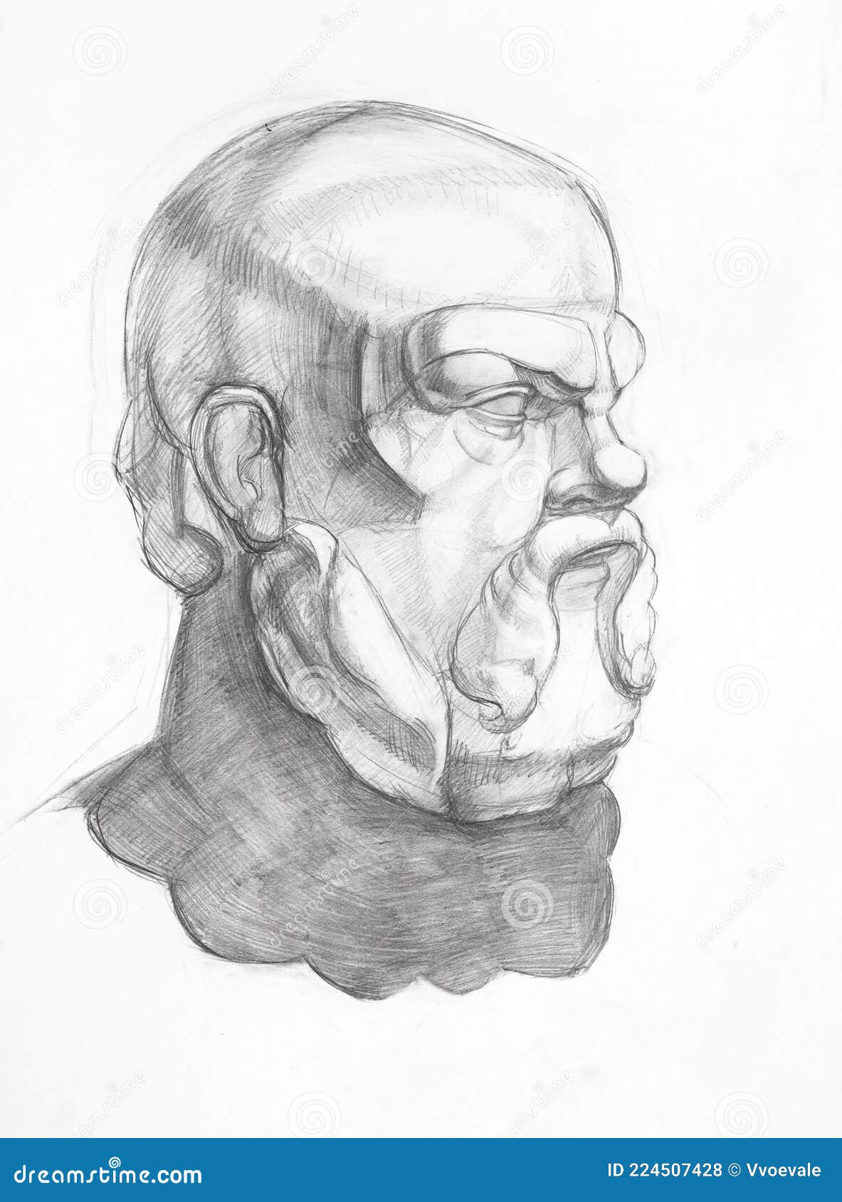 эскиз головы сократа, нарисованный карандашом вручную Стоковое Фото -  изображение насчитывающей графит, чертеж: 224507428