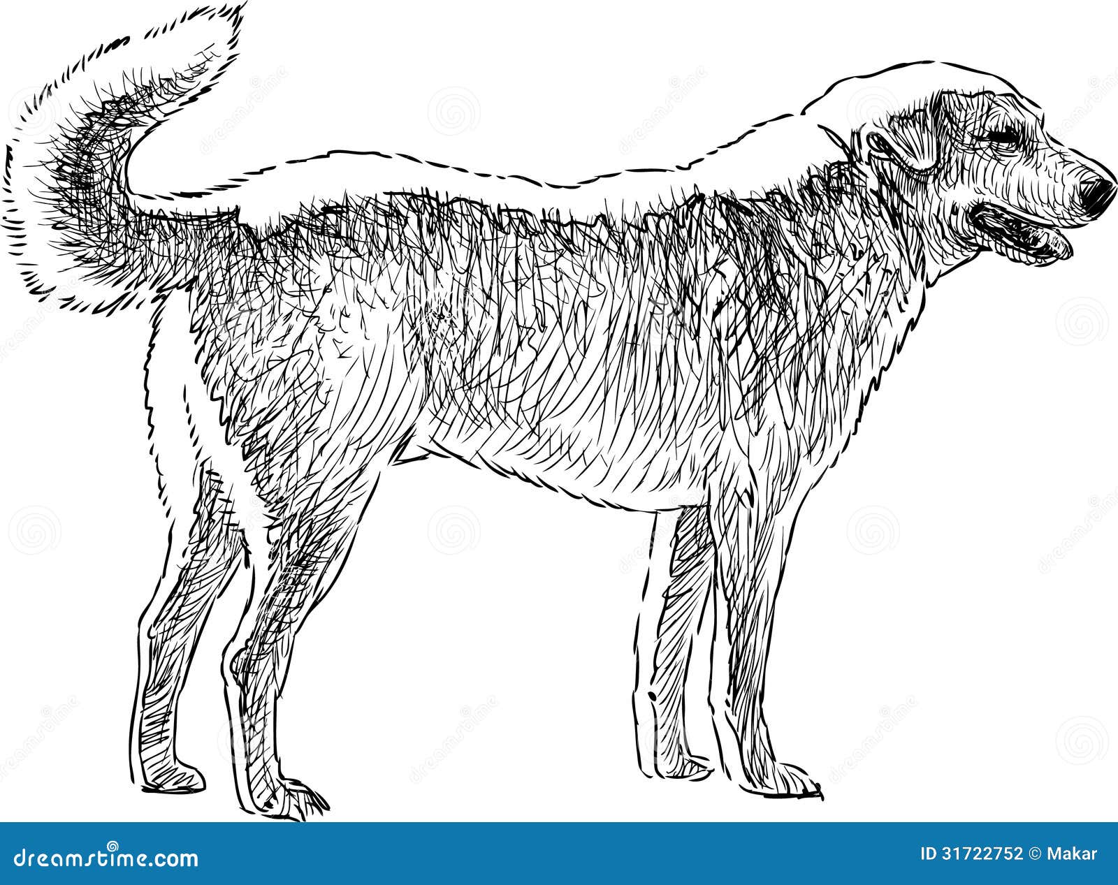 Эскиз собаки иллюстрация вектора. иллюстрации насчитывающей эскиз - 31722752