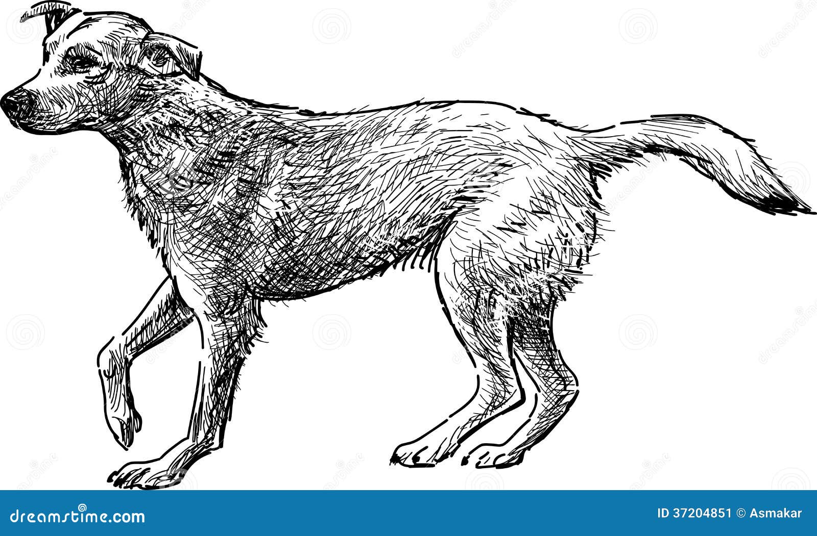 Эскиз собаки иллюстрация вектора. иллюстрации насчитывающей рука - 37204851