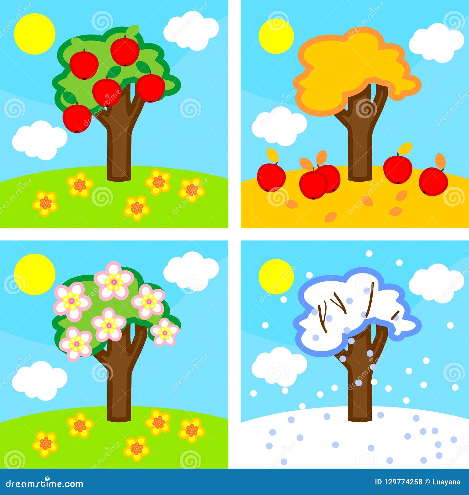 Яблоня в разные времена года. Яблоня 4 времени года. Деревья в разные времена года для дошкольников.