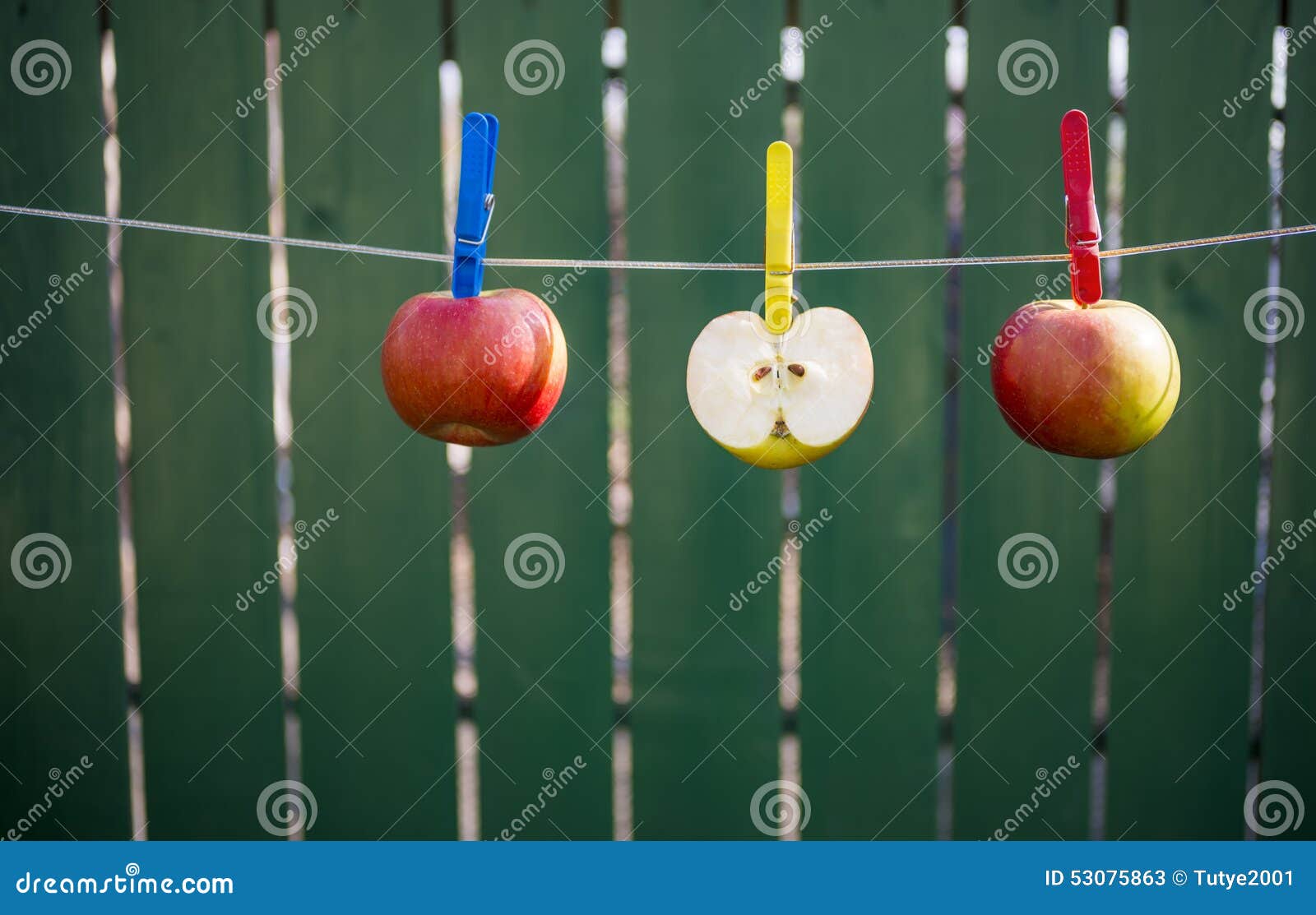 Часть повесить. Яблоки на веревке. Яблоко на веревочке. Конкурс с яблоками на веревке. Яблоки для выставки на веревке.
