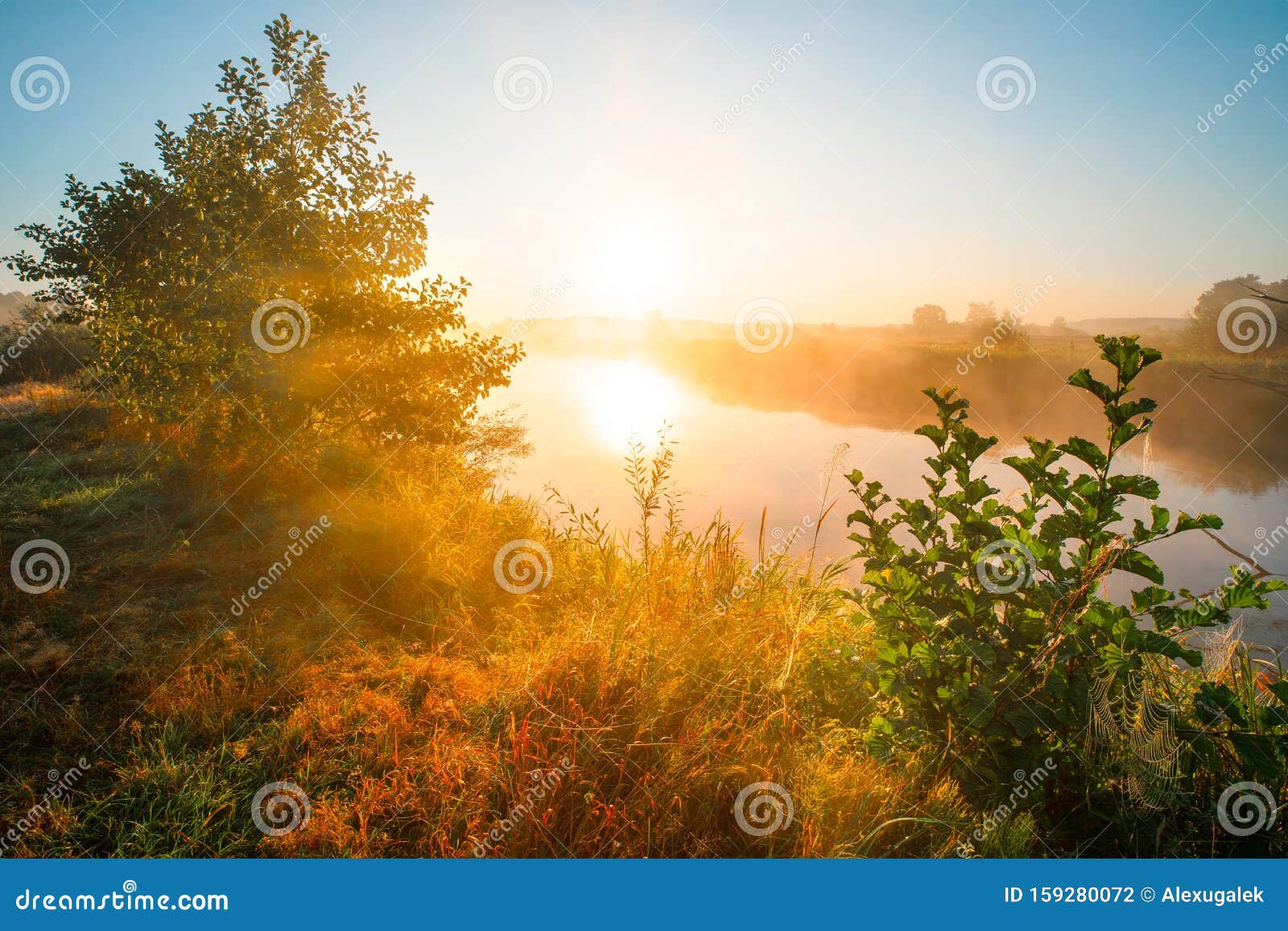 Яркий осенний рассвет стоковое фото. изображение насчитывающей солнечность  - 159280072
