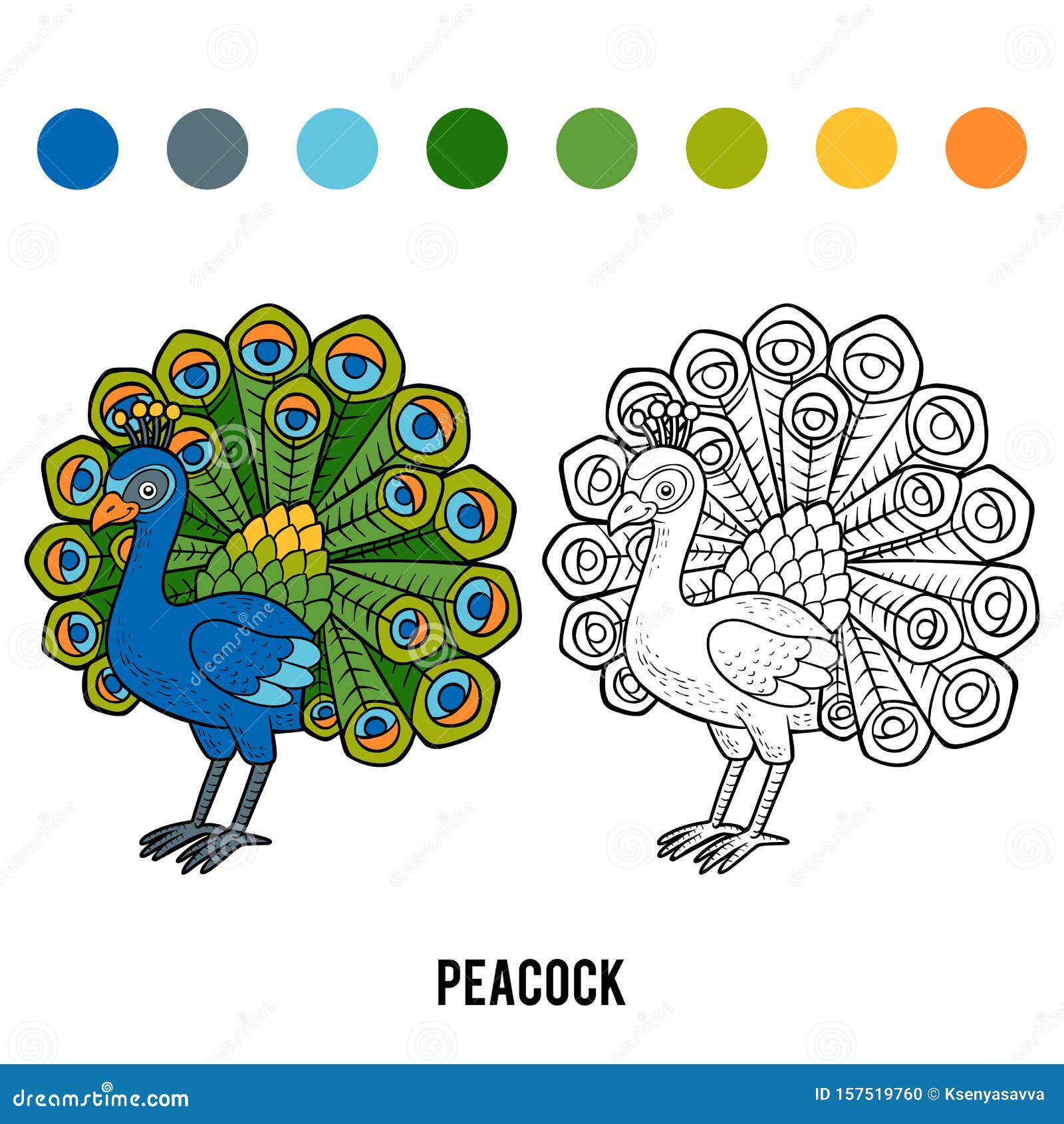 孔雀 向量例证 插画包括有字符 刚孵出的雏 异乎寻常 本质 羽毛 幼稚园 例证 闹事