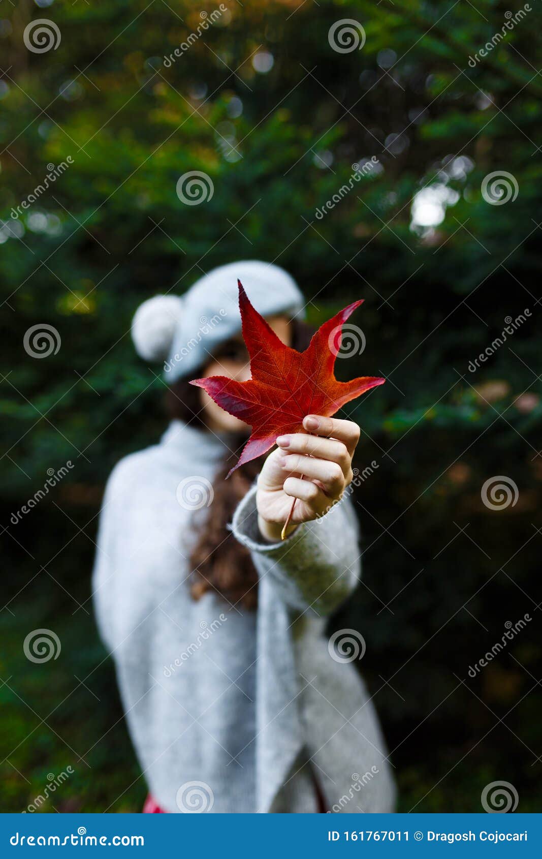 一个拿着红叶的神奇女孩 在杉树上 秋天背景 在外面开枪垂直视图复制空间库存图片 图片包括有复制空间 垂直视图 一个拿着红叶的神奇女孩 在杉树上 秋天背景 在外面开枪垂直视图复制空间库存图片 图片包括有复制空间 垂直视图