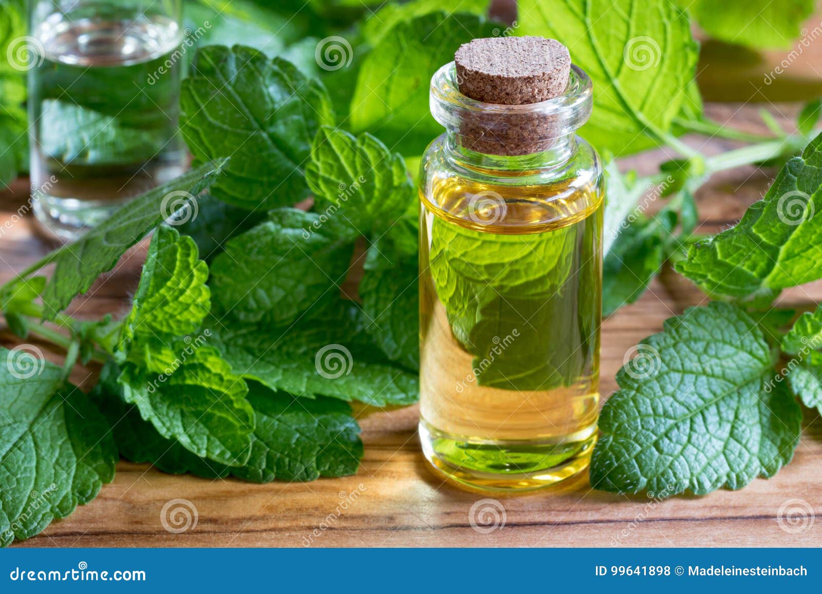 一个瓶蜜蜂花精油用新鲜的蜜蜂花离开库存照片 图片包括有