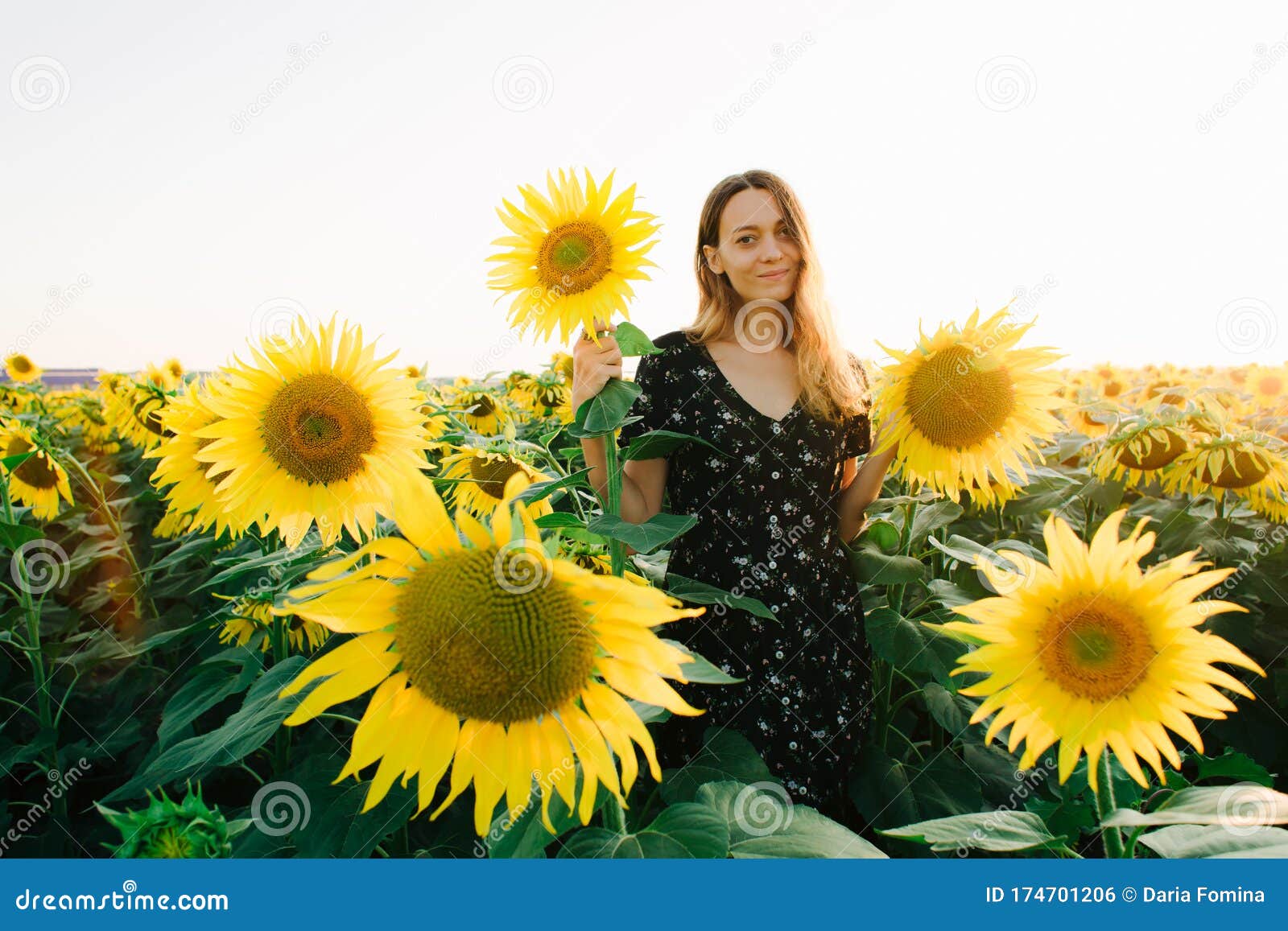 一位身穿黑色花裙的美女 站在夕阳照下的向日葵花丛中库存照片 图片包括有有吸引力的 图象 纵向 一位身穿黑色花裙的美女 站在夕阳照下的向日葵花丛中库存照片 图片包括有有吸引力的 图象 纵向
