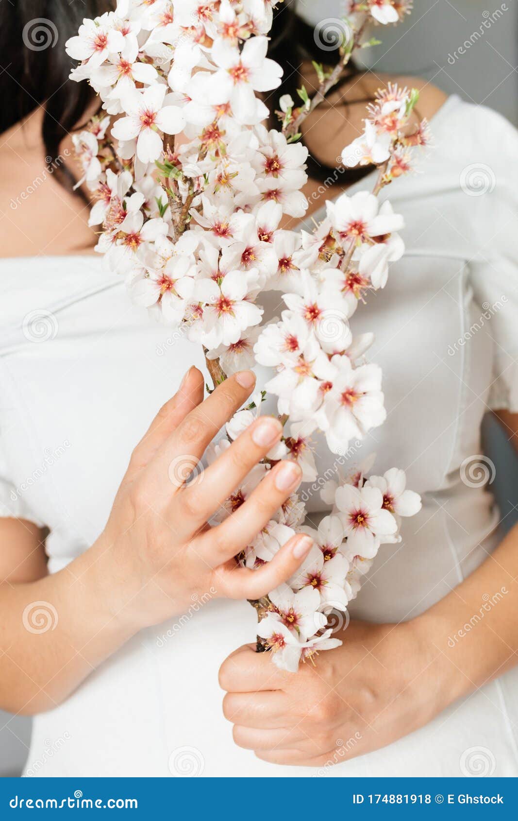 一只认不出来的女手拿着杏花树枝春天的神奇开端选择性聚焦女性主义 女权主义库存照片 图片包括有开花的 颜色