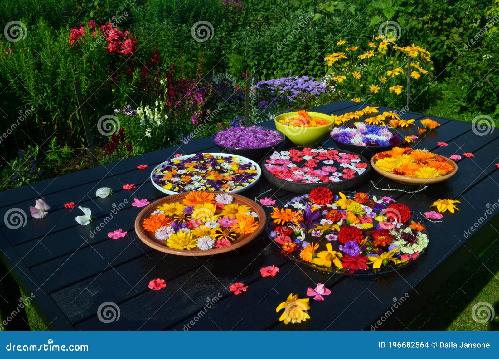 一张黑桌上的几盘花 花坛城库存照片 图片包括有亚诺河 本质 许多 安静 凝思 健康 背包