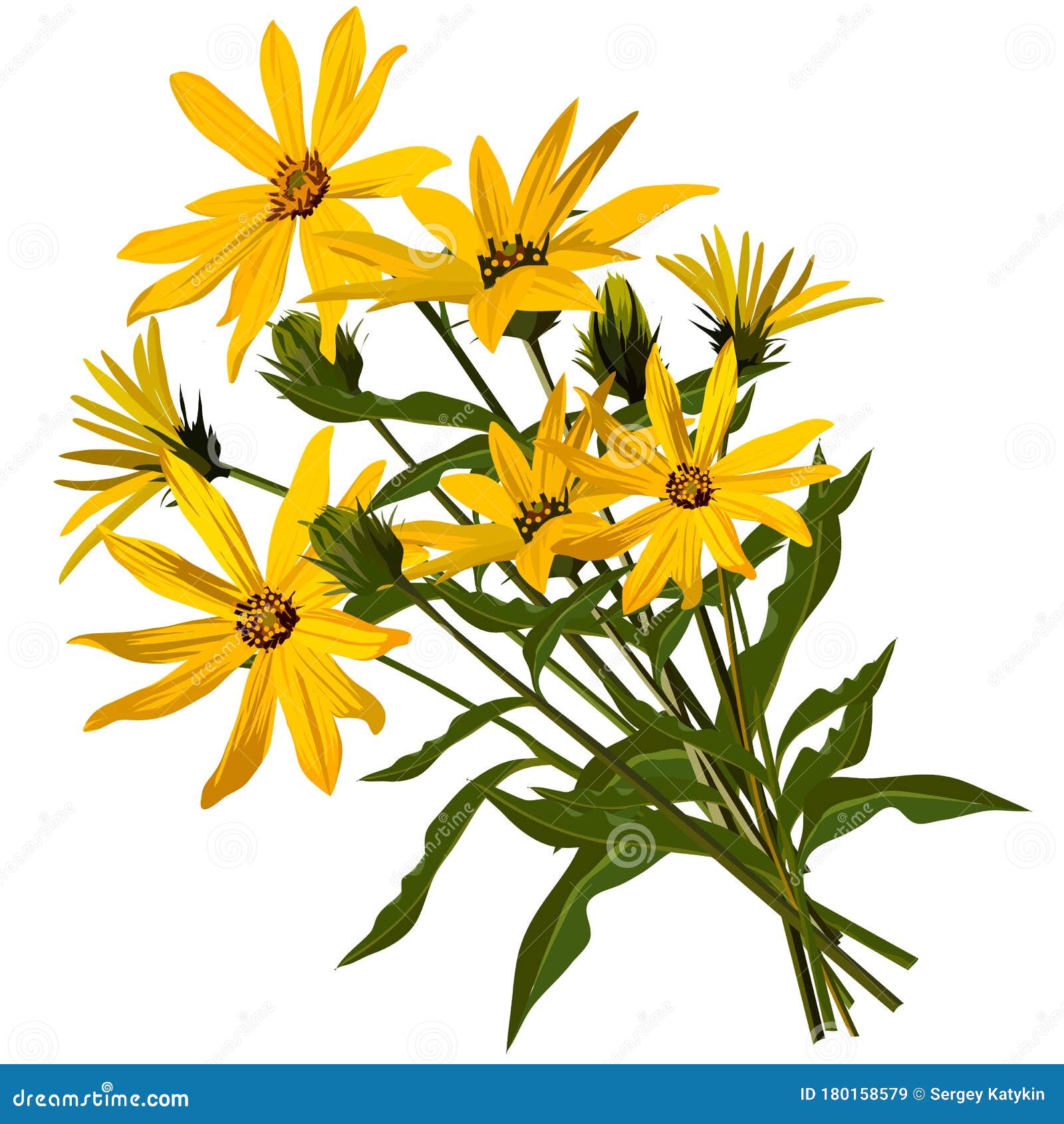 一束可爱的菊芋花向量例证 插画包括有纹理 绽放 邀请 浪漫 模式 艺术 问候 图标 一束可爱的菊芋花向量例证 插画包括有纹理 绽放 邀请 浪漫 模式 艺术 问候 图标