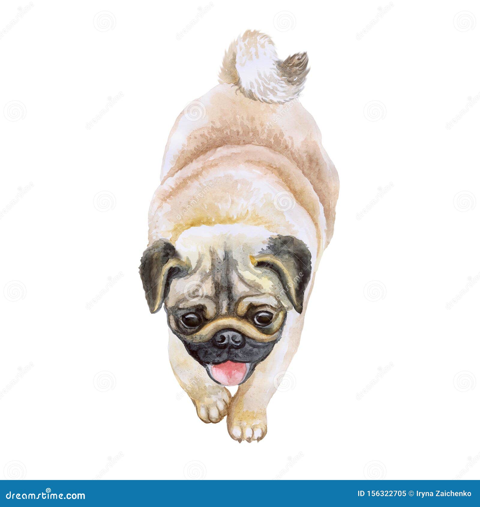 一种呕吐犬水彩画库存例证 插画包括有一种呕吐犬水彩画