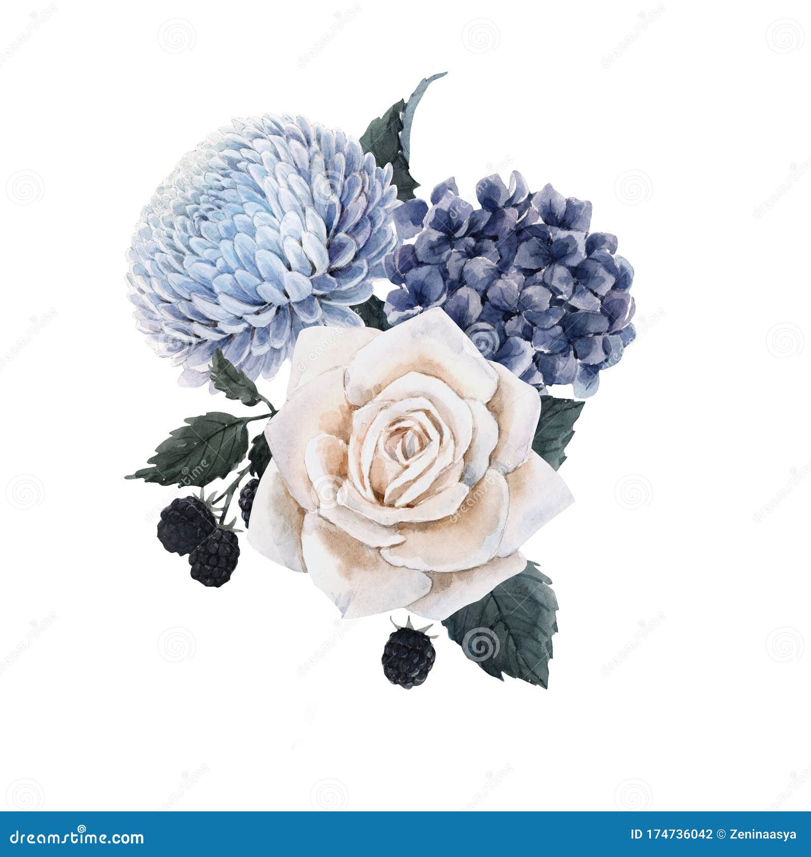 一种水彩蓝绣球花大丽花 白玫瑰和黑莓的美丽花束组合物存货库存例证 插画包括有普遍 现有量 一种水彩蓝绣球花大丽花 白玫瑰和黑莓的美丽花束组合物存货库存例证 插画包括有普遍 现有量