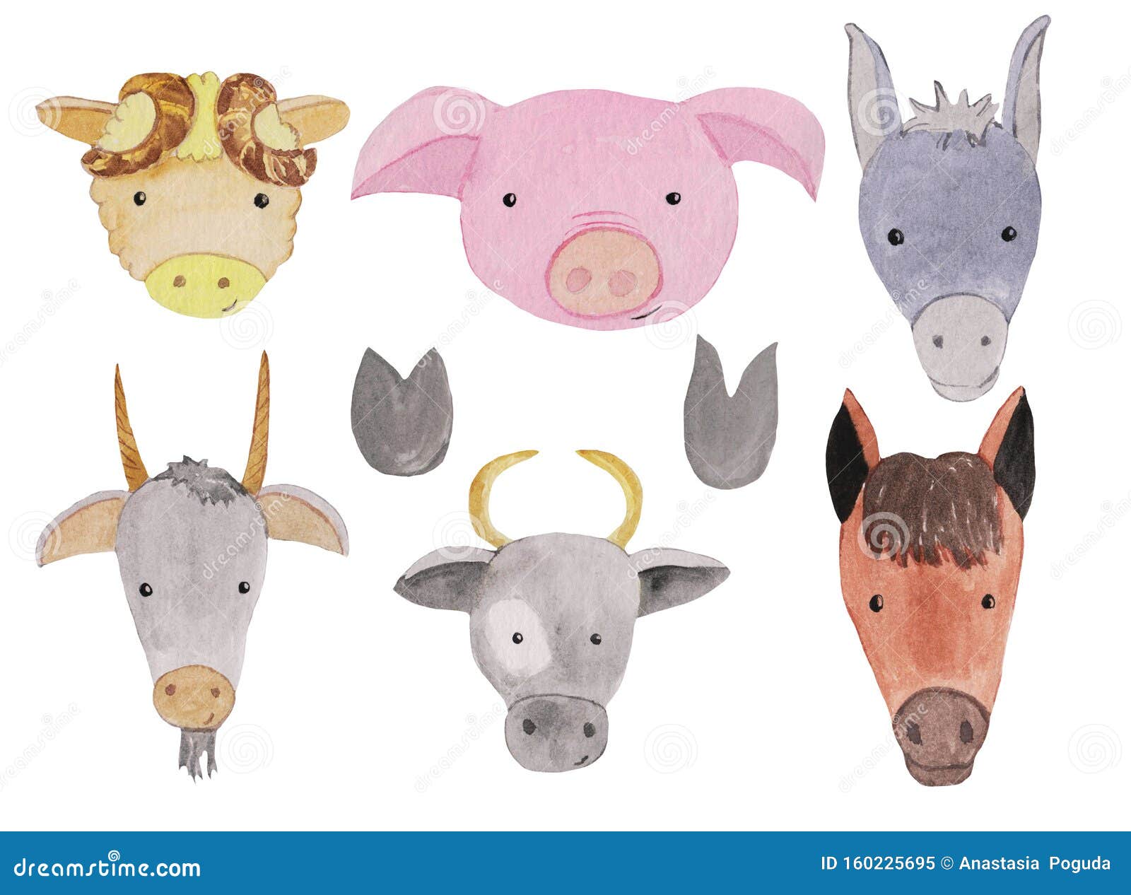 一组农畜水彩画像 牛 羊和羊猪 马和驴脸带有蹄印库存例证 插画包括有纹理 图象