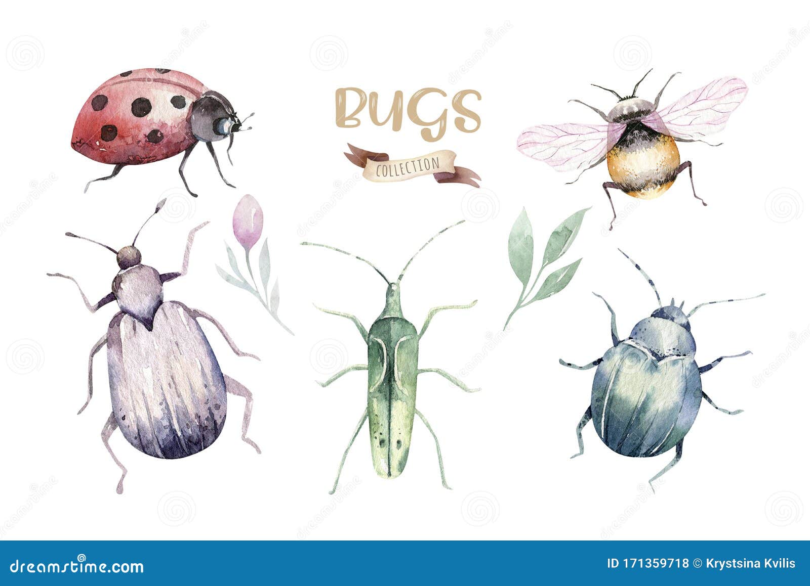 一组水彩亮甲虫 虫蝇和蜜蜂彩色卡通与虫昆虫装饰库存照片 图片包括有一组水彩亮甲虫 虫蝇和蜜蜂