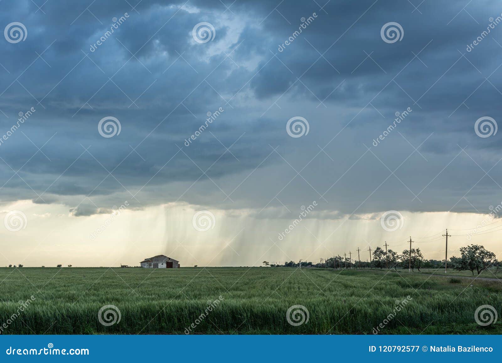 下雨风景 农村风景 在麦田的雨库存图片 图片包括有 下雨风景 农村风景 在麦田的雨库存图片 图片包括有