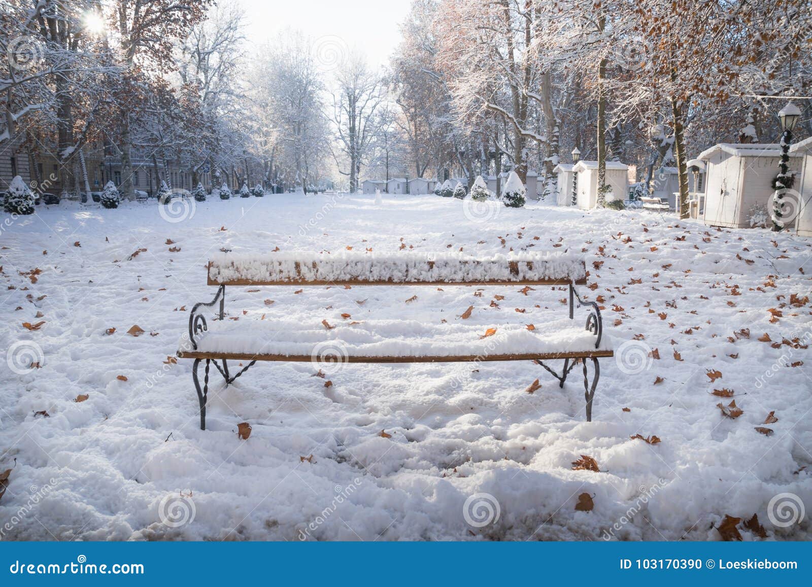 下雪的公园长椅在zrinjevac公园在萨格勒布在冬天 克罗地亚 欧洲库存照片 图片包括有下雪的公园长椅在zrinjevac公园在萨格勒布在冬天 克罗地亚 欧洲