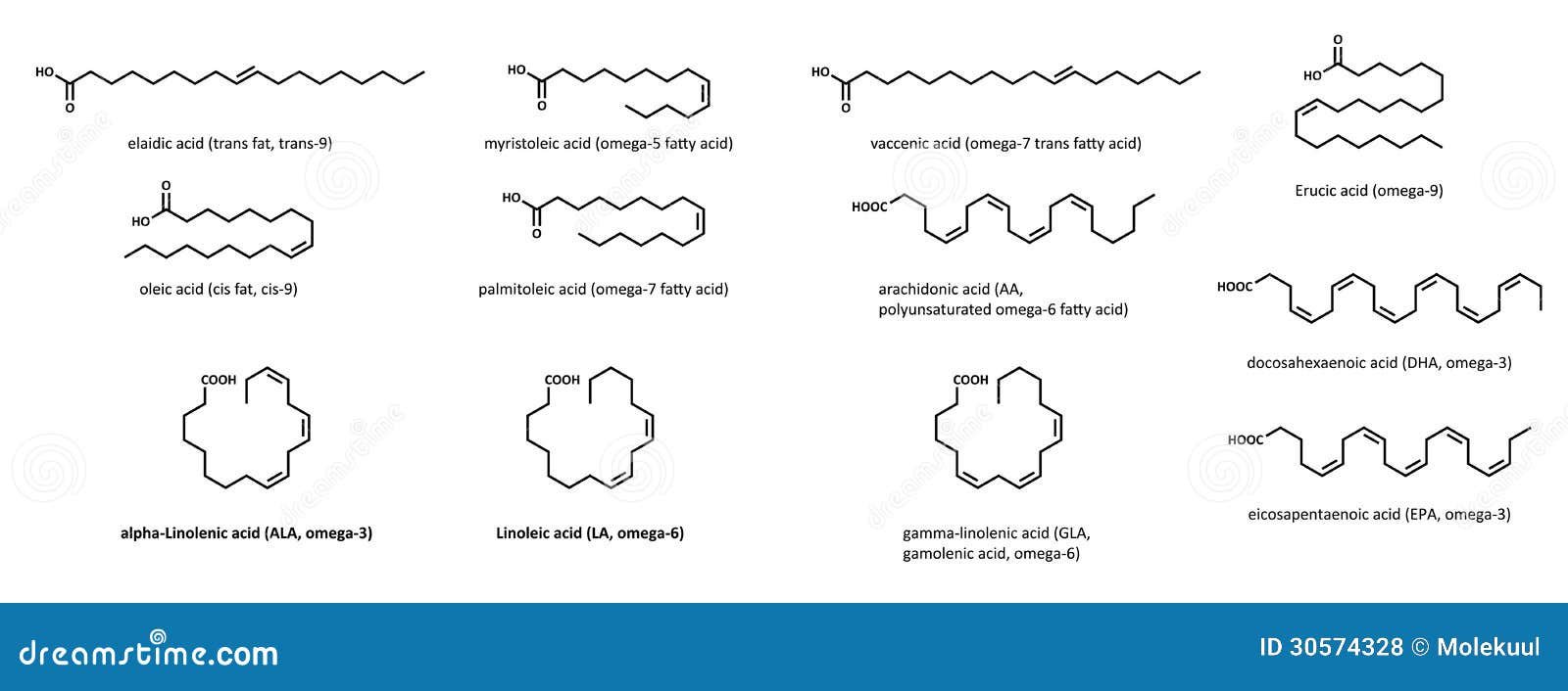 不饱和脂肪酸 设置 向量例证 插画包括有油脂 雾化器 迷恋 计算机 酸化 食物 化学制品