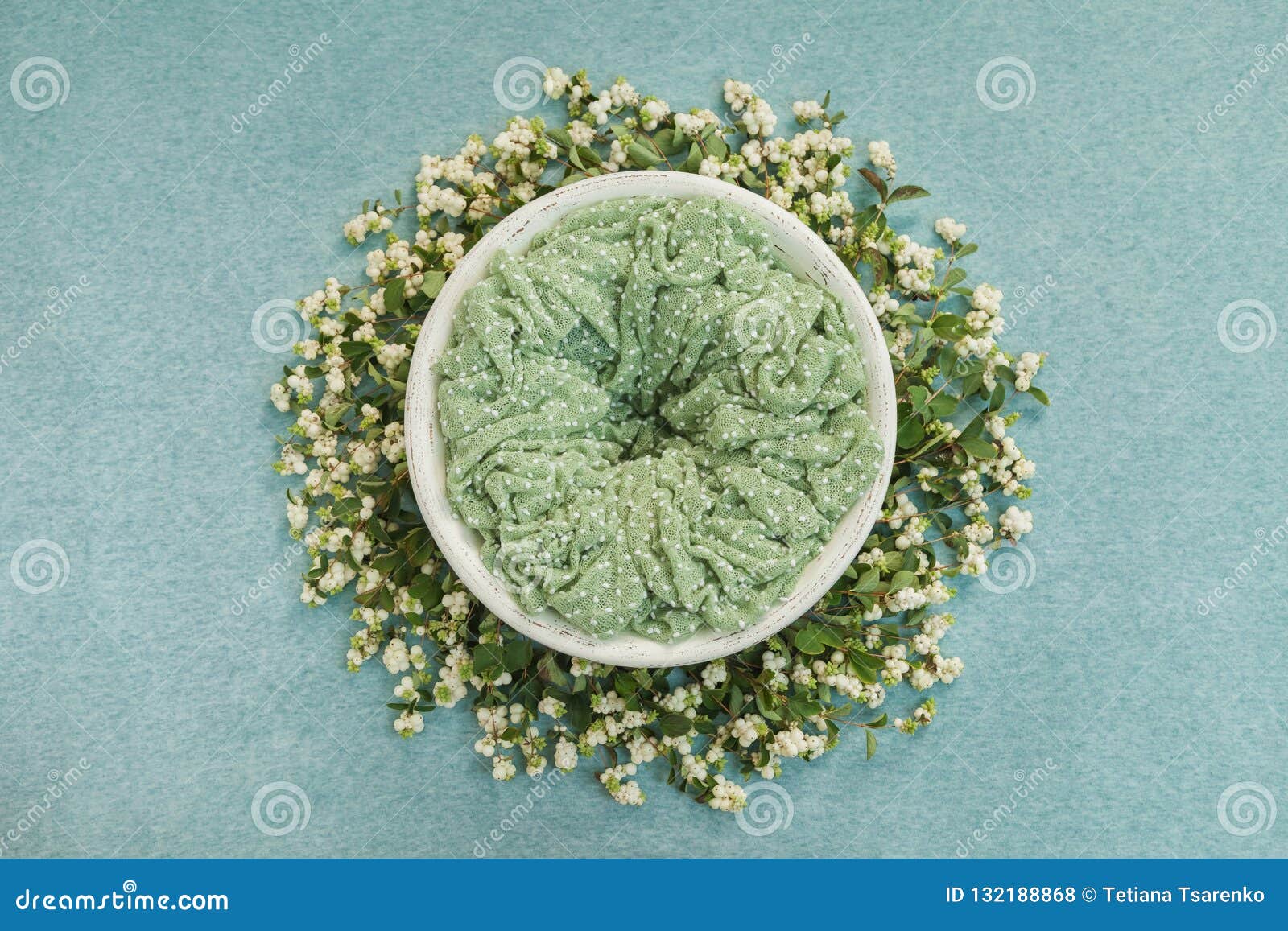 与一张绿色席子的巢新生儿照片写真的 装饰用小树枝用白色莓果库存照片 图片包括有与一张绿色席子的巢新生儿照片写真的 装饰用小树枝用白色莓果