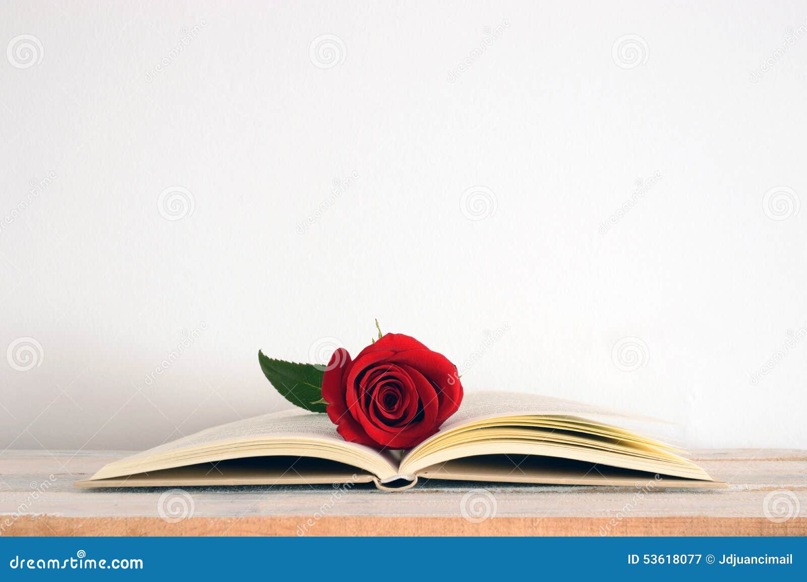 与一朵红色玫瑰花的一本被集中的开放书对此库存图片 图片包括有本质