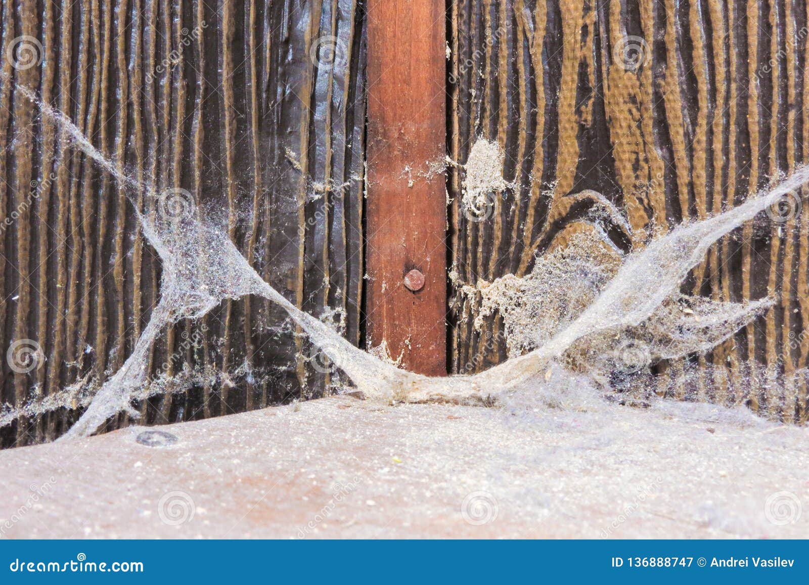 与厚实的尘土土蜘蛛网的老肮脏的蜘蛛网在被放弃的房子的角落库存图片 图片包括有连接 尘土