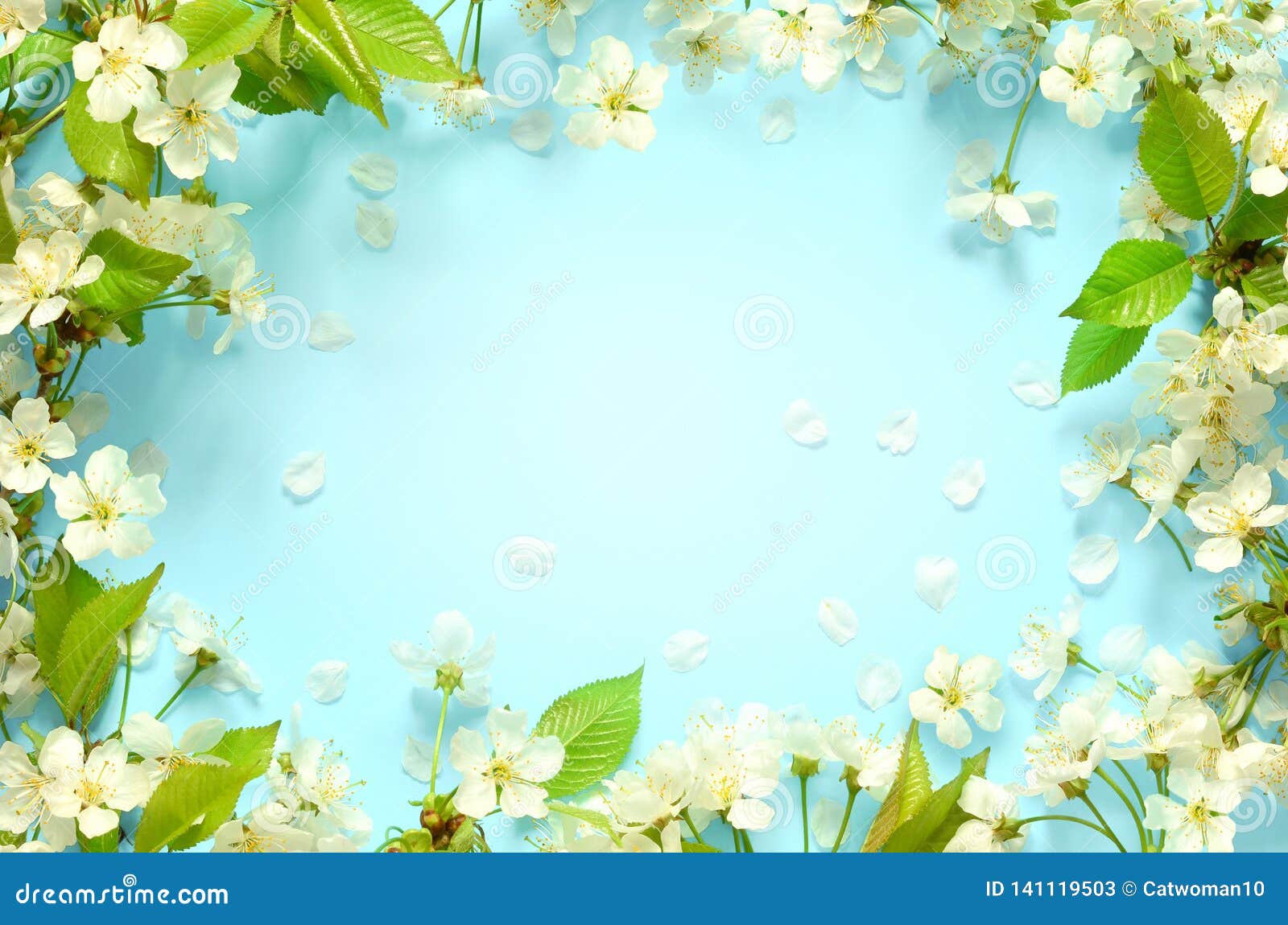 与可爱的开花 在土耳其玉色背景 顶视图 框架的瓣a的美好的春天自然背景春天概念库存图片 图片包括有 与可爱的开花 在土耳其玉色背景 顶视图 框架的瓣a的美好的春天自然背景春天概念库存图片 图片包括有