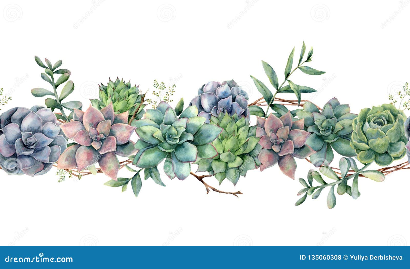 与多汁植物 树枝和玉树的水彩无缝的花束手画仙人掌 玉树叶子和库存例证 插画包括有构成 徽标 与多汁植物 树枝和玉树的水彩无缝的花束手画仙人掌 玉树叶子和库存例证 插画包括有构成 徽标