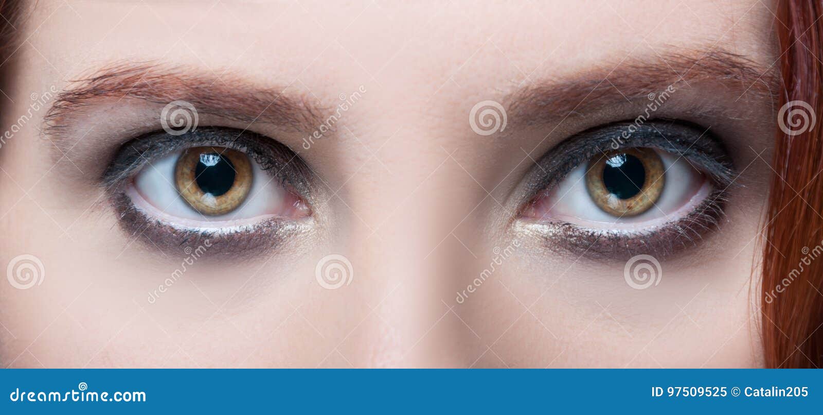 与构成和棕色眼眉的妇女 S淡褐色眼睛库存图片 图片包括有化妆用品 设计 特写镜头 有吸引力的 与构成和棕色眼眉的妇女 S淡褐色眼睛库存图片 图片包括有化妆用品 设计 特写镜头 有吸引力的