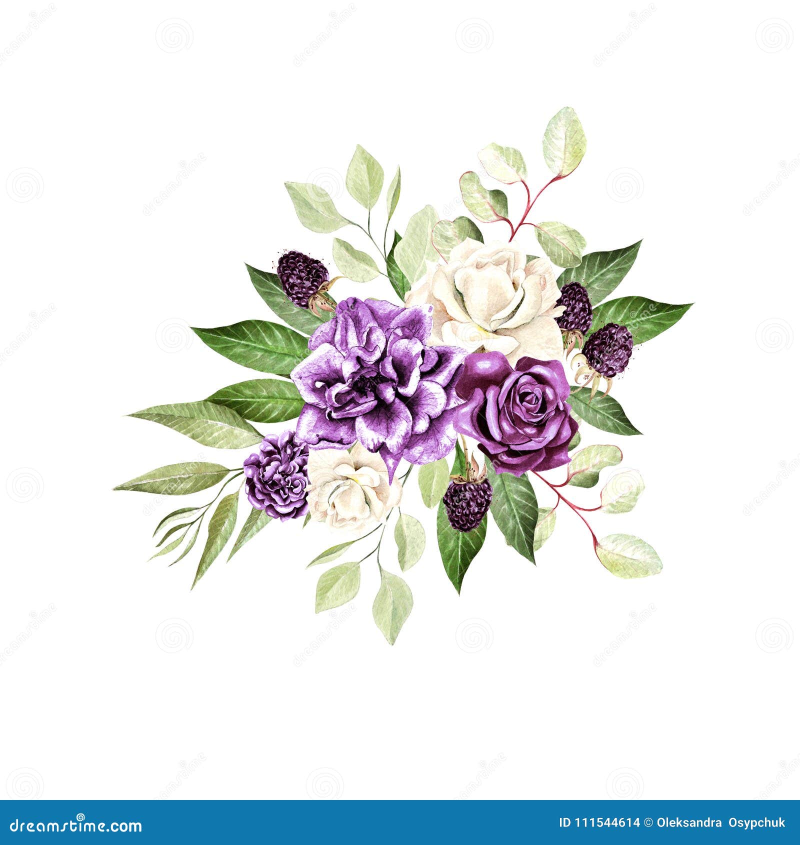 与玫瑰的美丽的水彩花束和牡丹花 玉树和黑莓库存照片 图片包括有 与玫瑰的美丽的水彩花束和牡丹花 玉树和黑莓库存照片 图片包括有